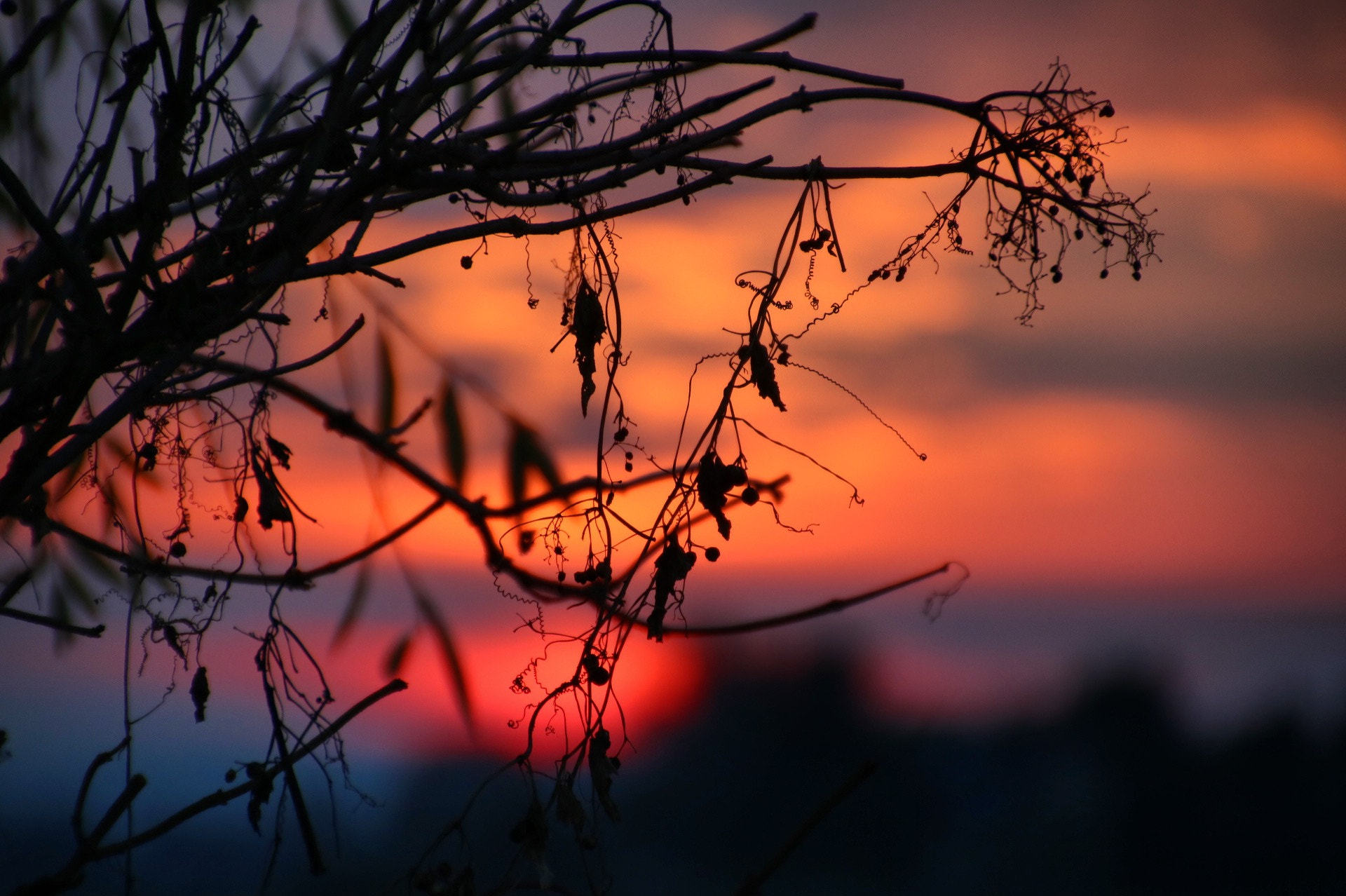 Canon EOS 750D (EOS Rebel T6i / EOS Kiss X8i) sample photo. Sunset in winter photography
