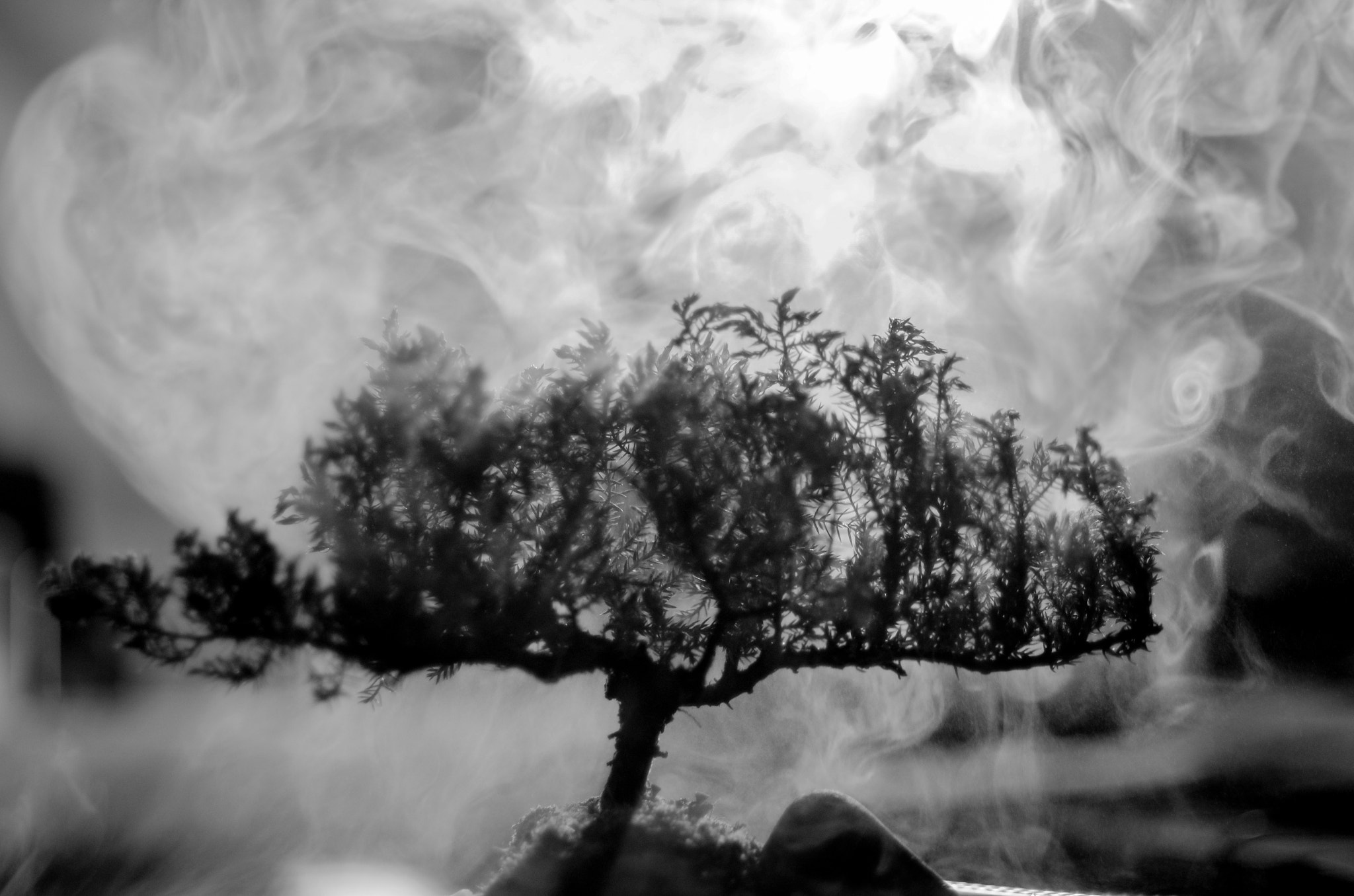 Pentax K-5 sample photo. Still fog photography