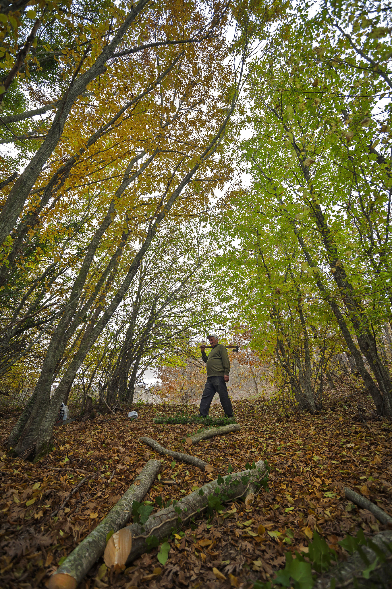 Canon EOS 5D + Sigma 15-30mm f/3.5-4.5 EX DG Aspherical sample photo. Forest and human photography