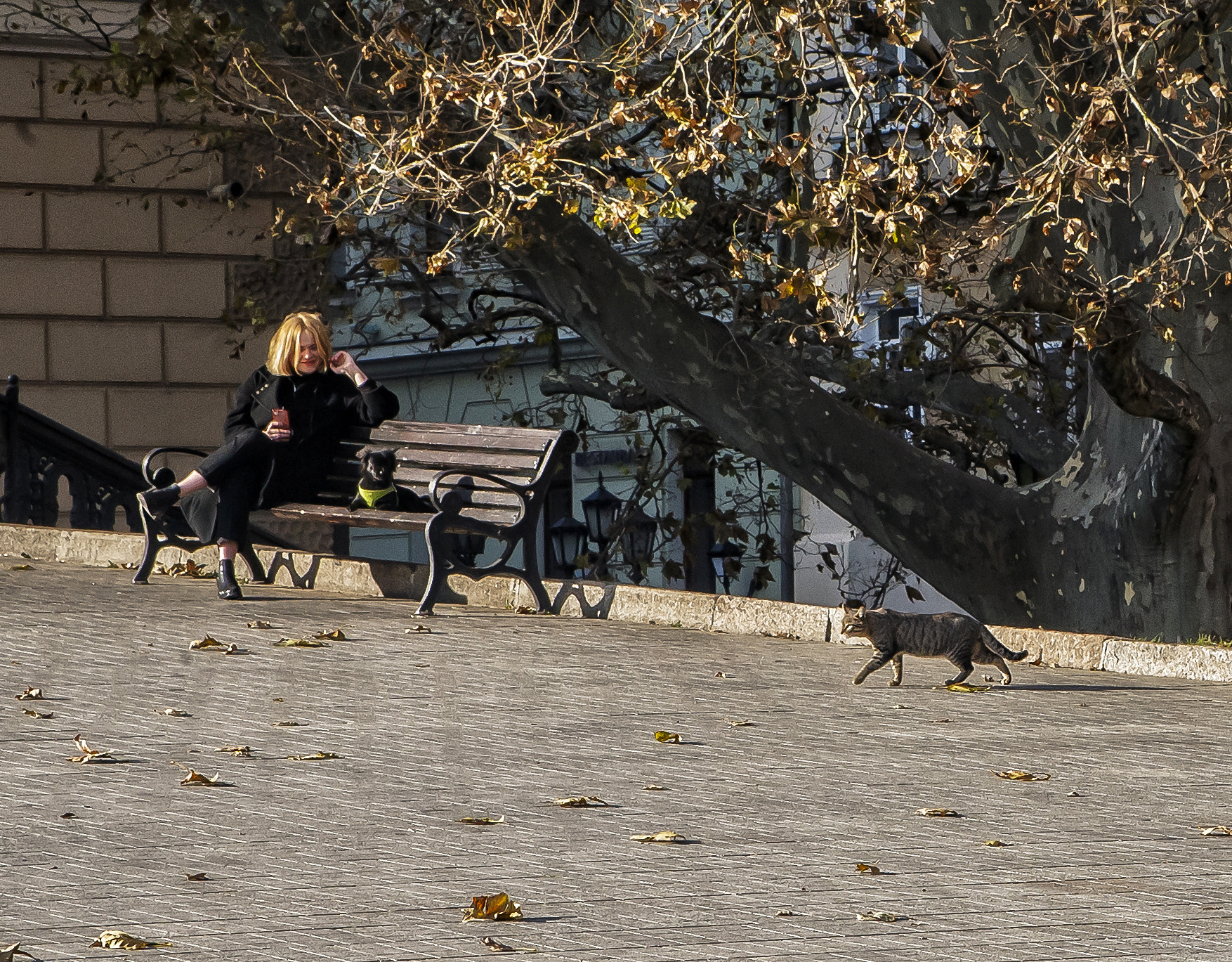 Canon EF 28-105mm f/3.5-4.5 USM sample photo