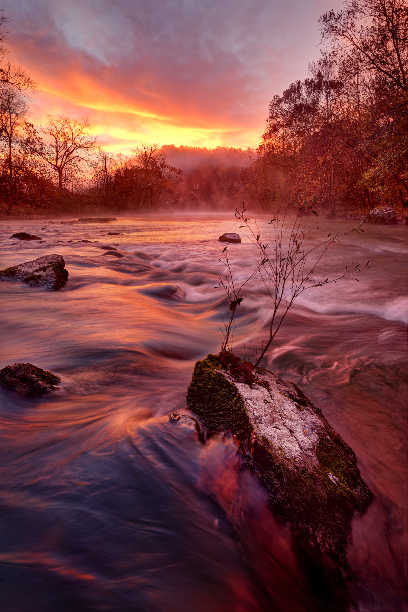 Nikon D610 + Nikon AF Nikkor 20mm F2.8D sample photo. Falling spring shoal photography