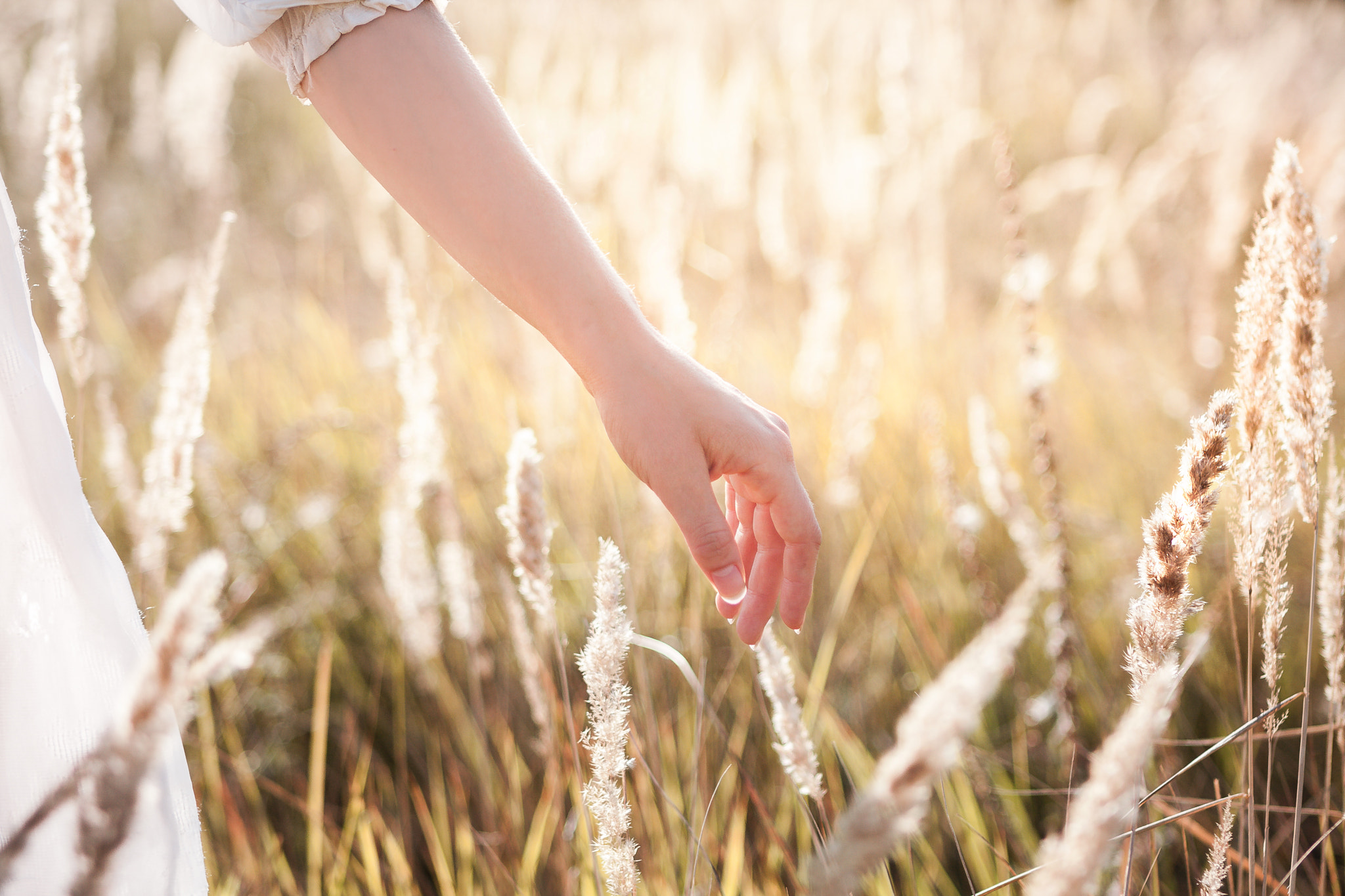 Canon EOS 40D + Canon EF 24-70mm F2.8L USM sample photo. Fields of gold photography