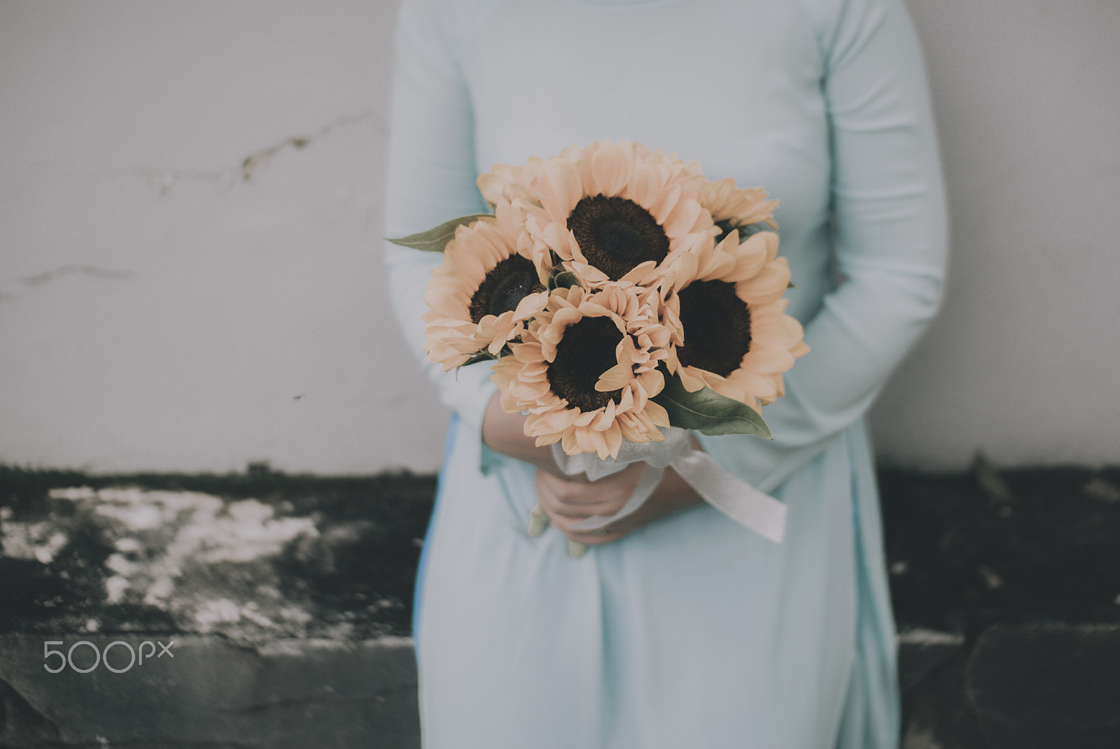 Nikon D80 + Sigma 30mm F1.4 EX DC HSM sample photo. Sunflower photography
