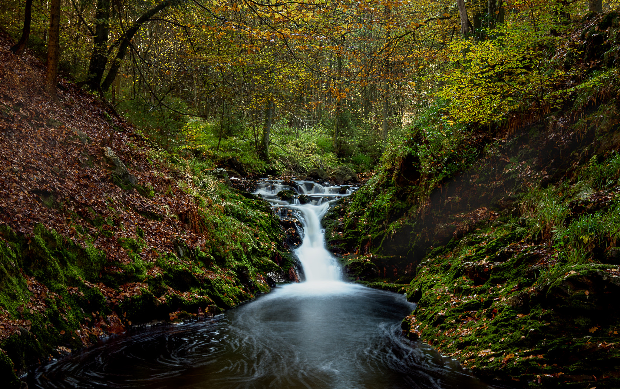 Nikon AF-S Nikkor 16-35mm F4G ED VR sample photo. La hoëgne photography