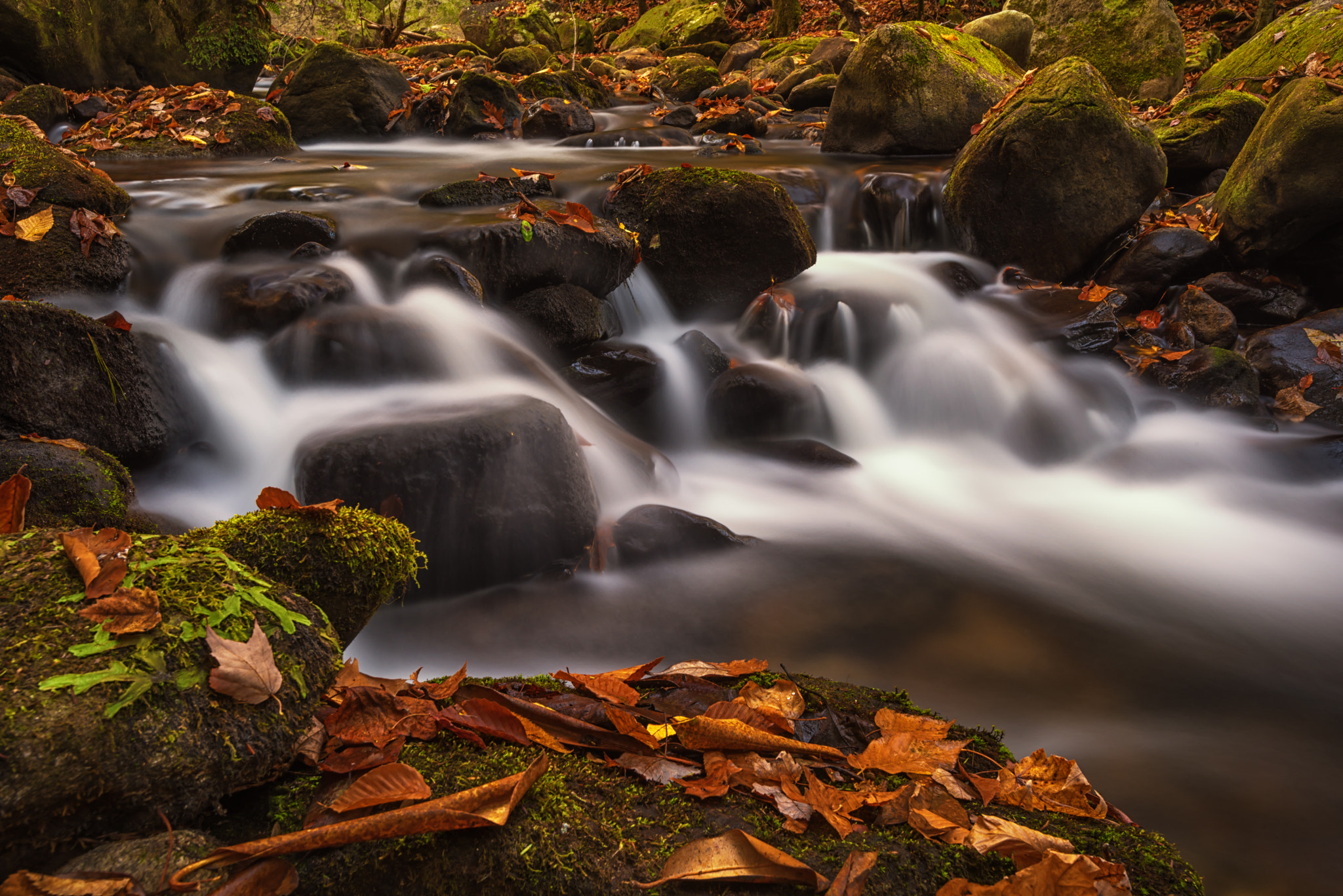Nikon AF-S Nikkor 17-35mm F2.8D ED-IF sample photo. Middle saluda river - jones gap state park photography
