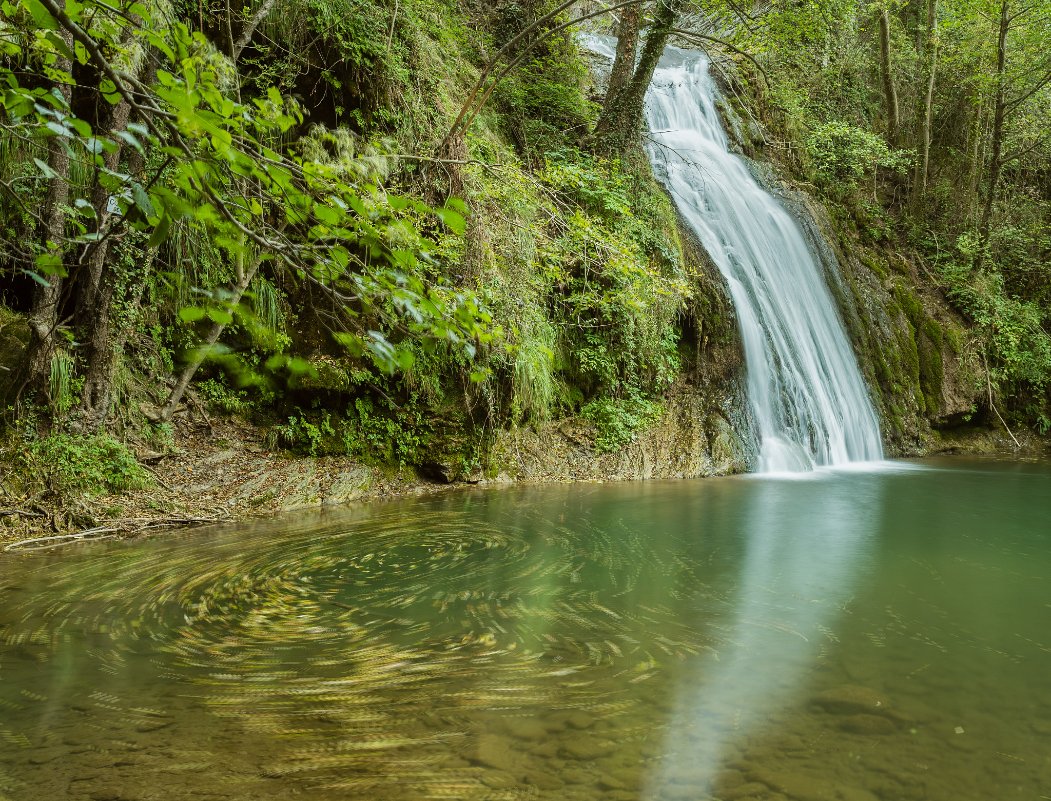 Nikon D500 sample photo. Gorg de la malatosca photography