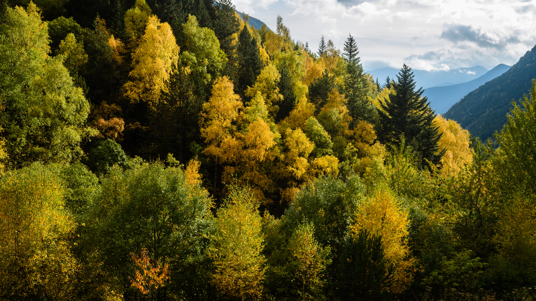 Nikon D500 sample photo. Vall de sorteny photography