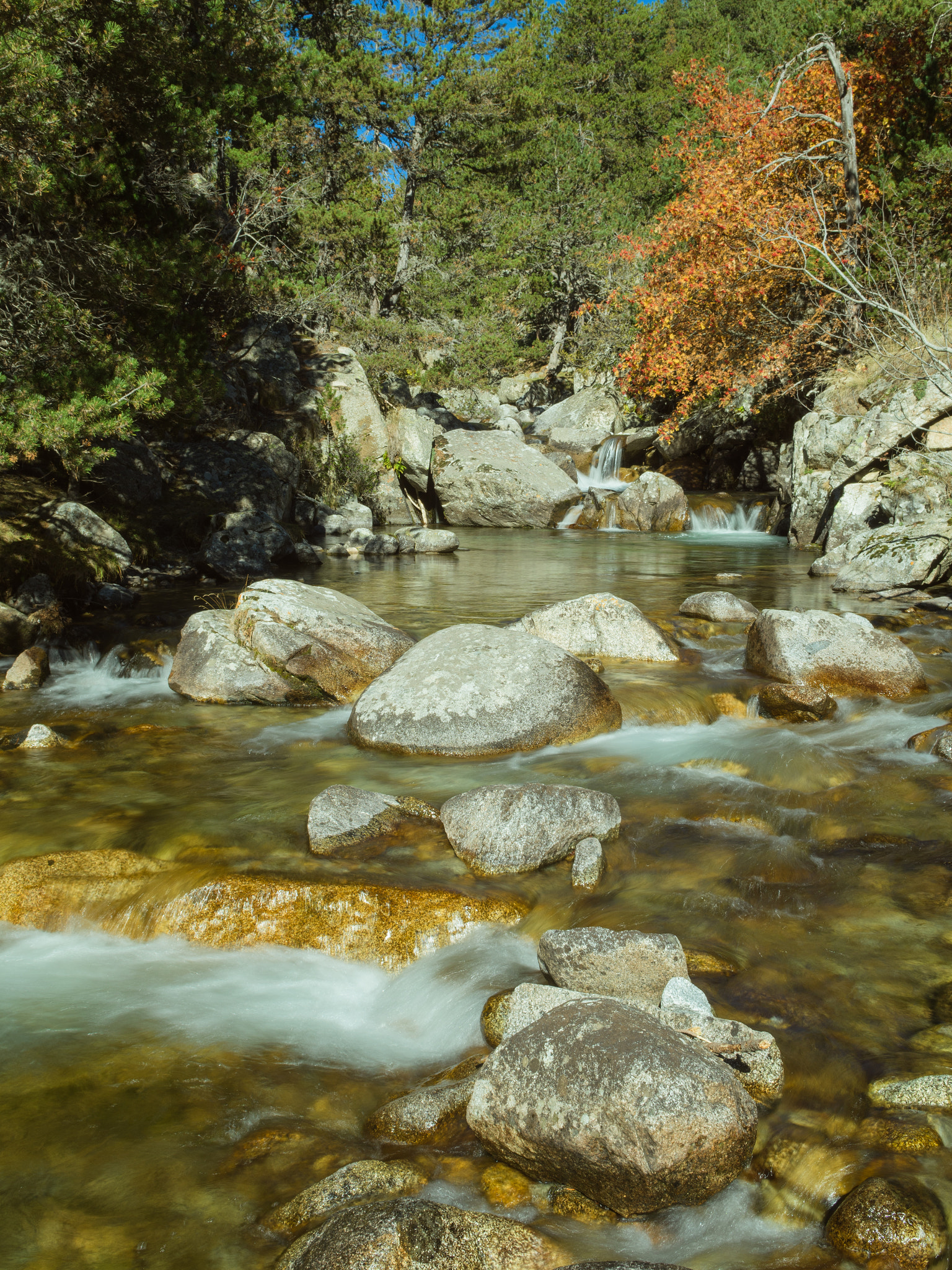 Nikon D500 sample photo. Vall de la llosa photography