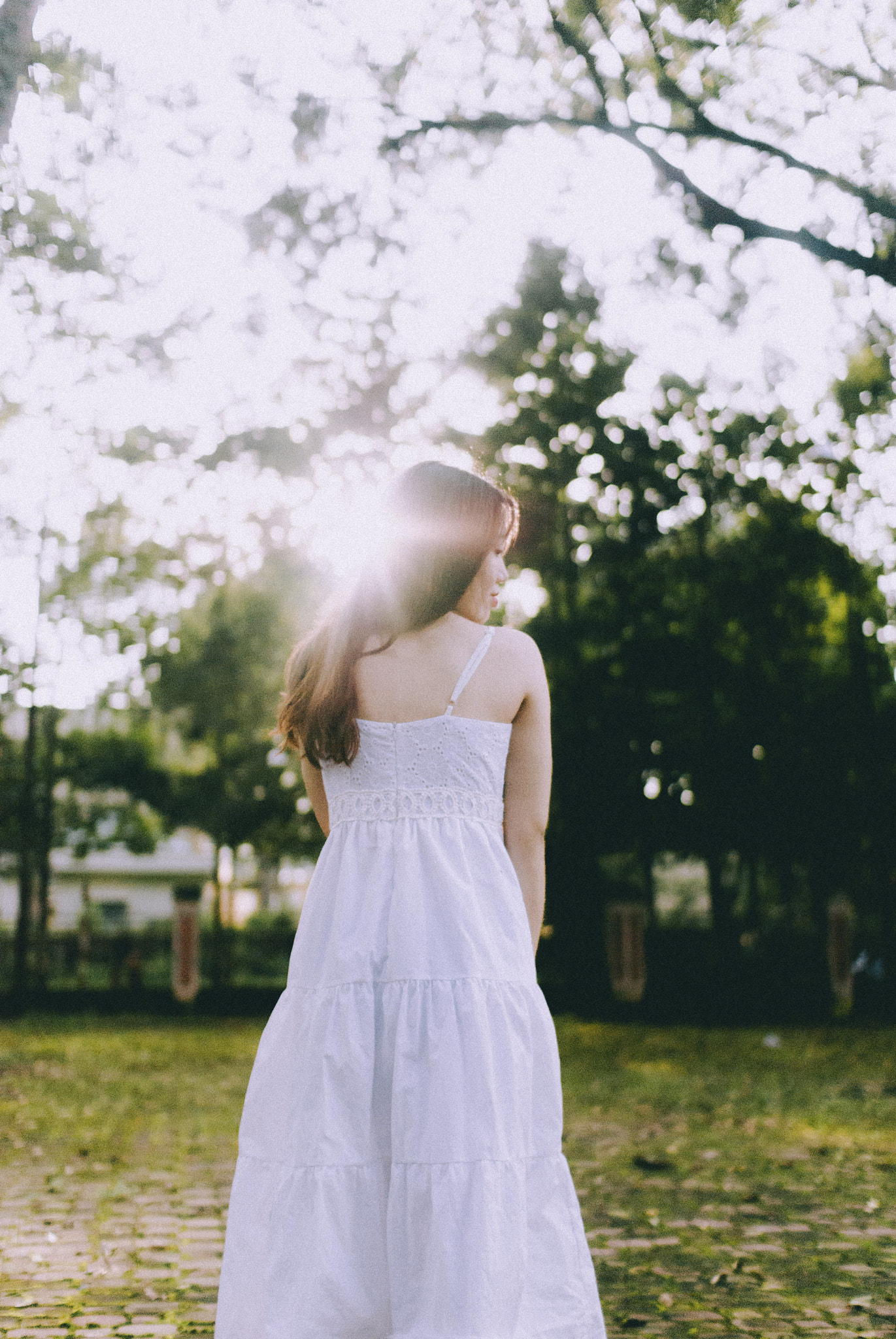 Nikon D80 + Sigma 30mm F1.4 EX DC HSM sample photo. Vintage photography