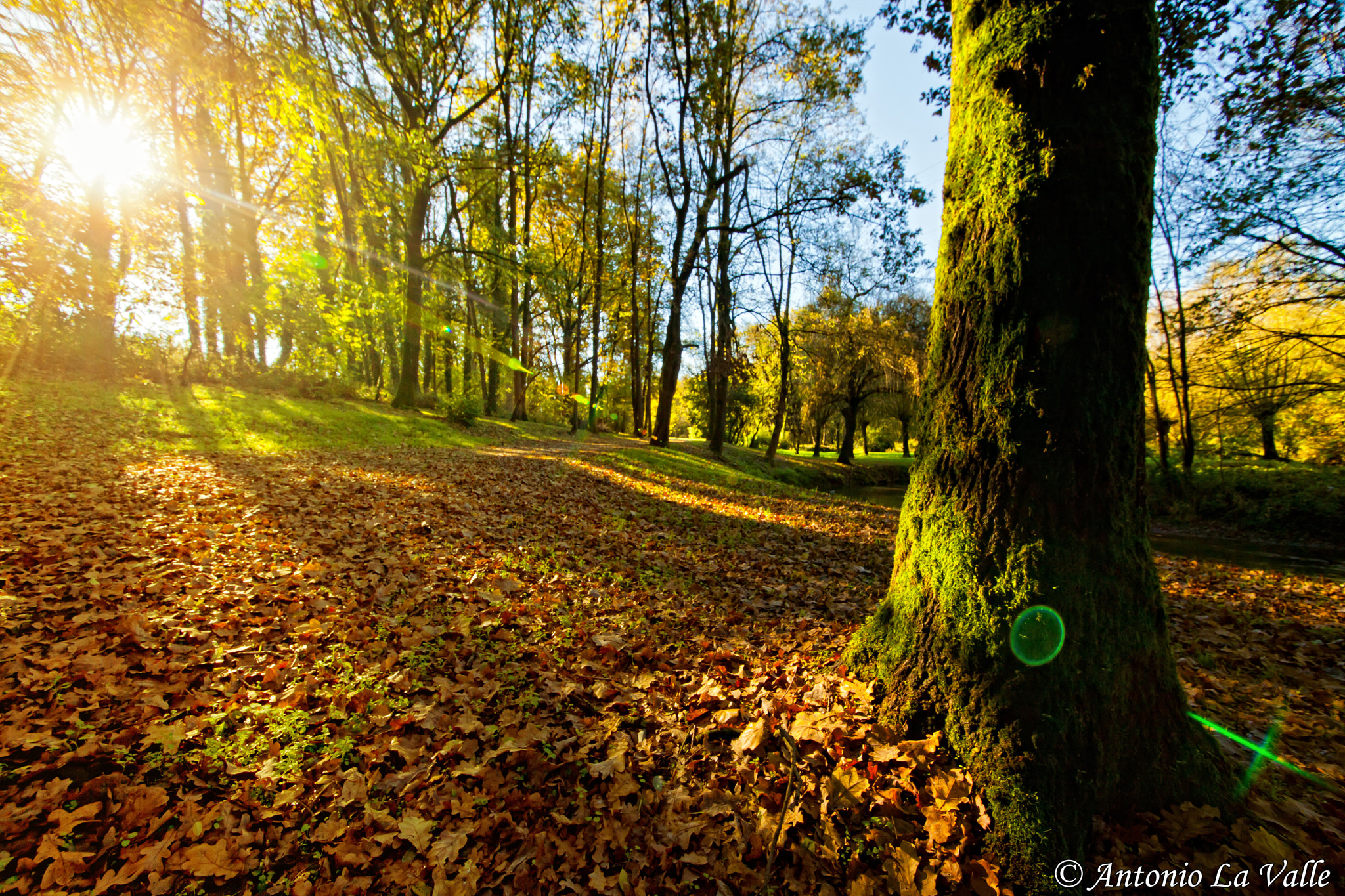 Canon EOS 5D Mark II + Sigma 12-24mm F4.5-5.6 II DG HSM sample photo. Vernavola photography