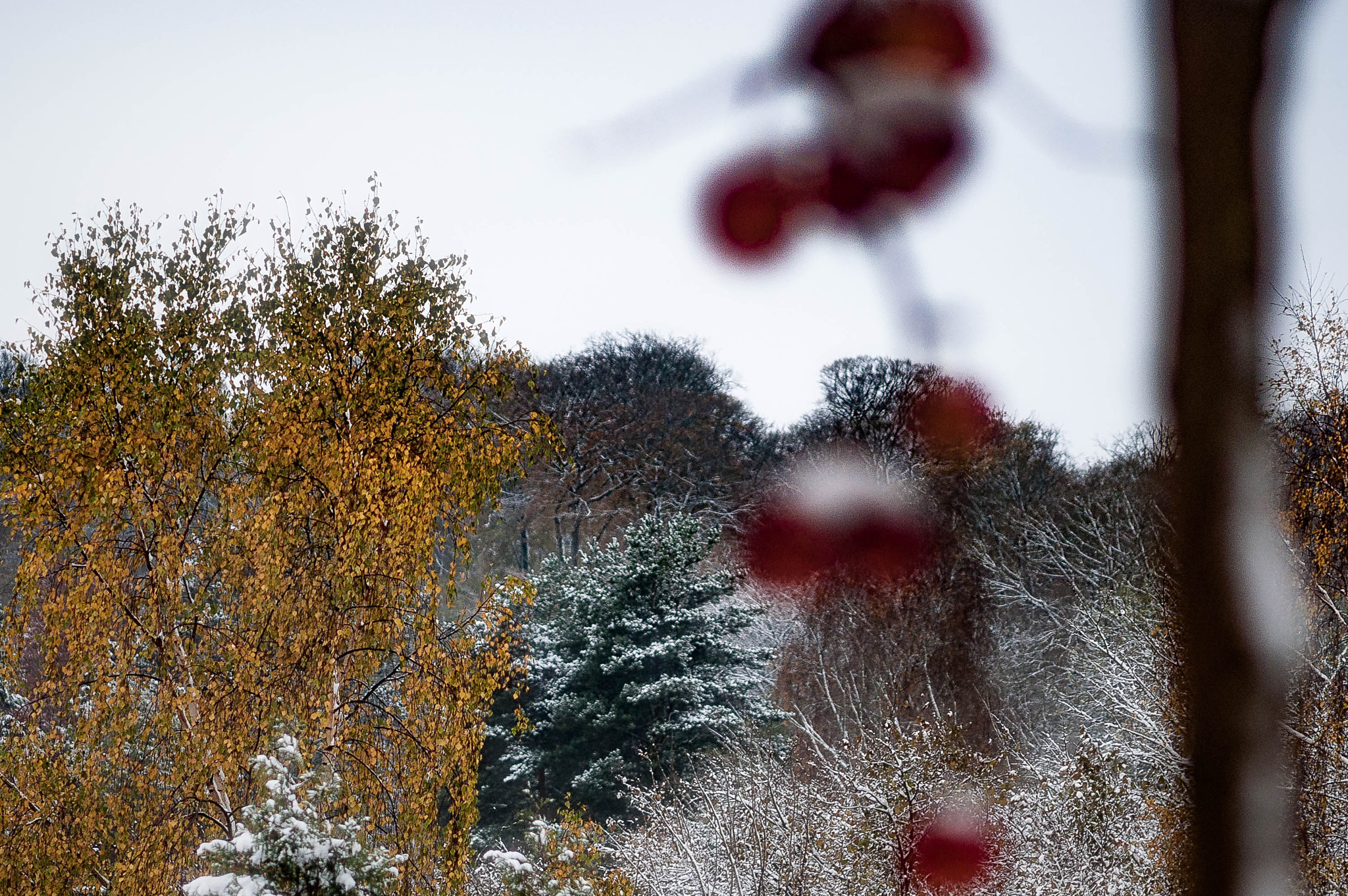 Sigma 70-300mm F4-5.6 APO DG Macro sample photo. Home winter. photography
