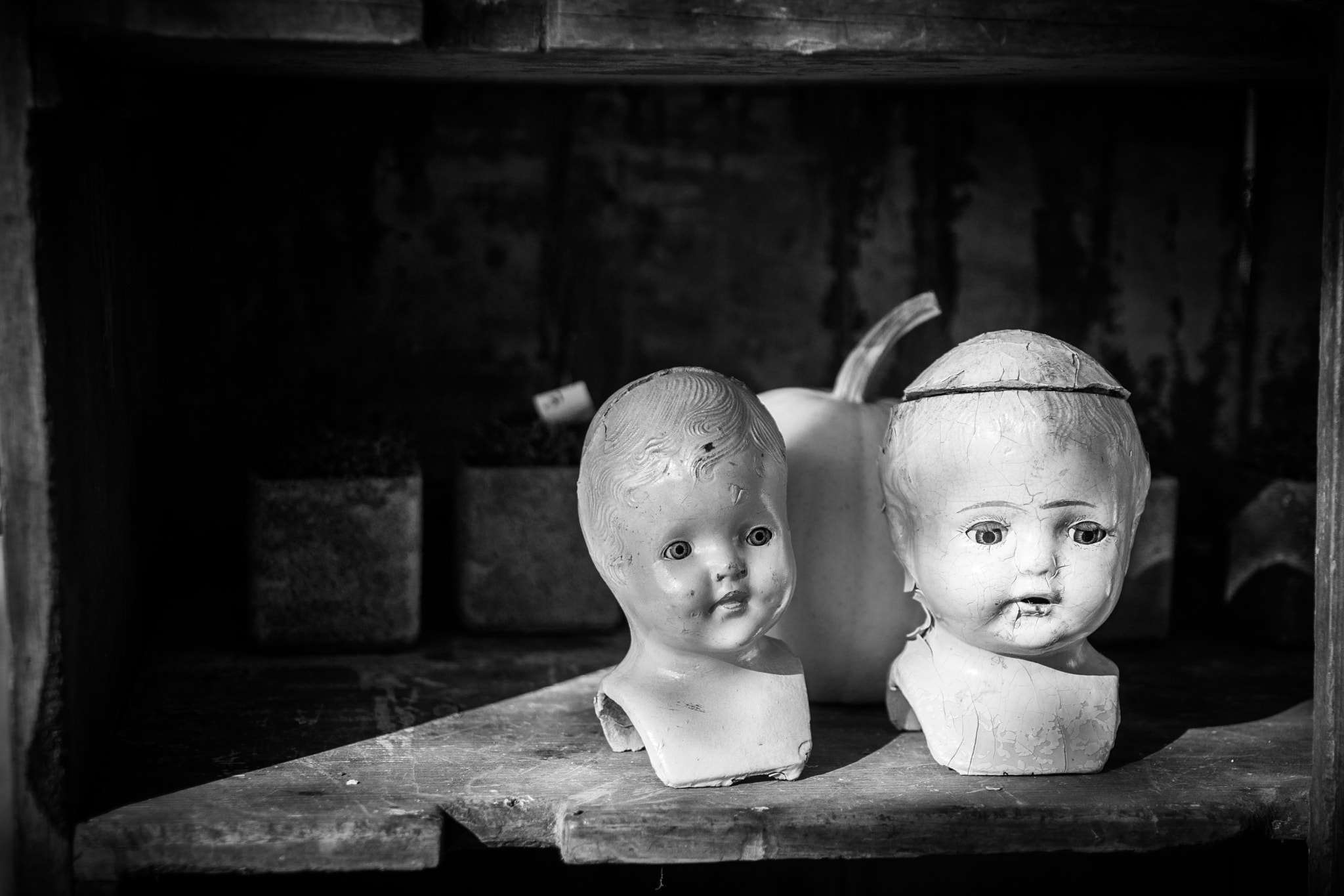 Sony SLT-A77 sample photo. Doll heads photography