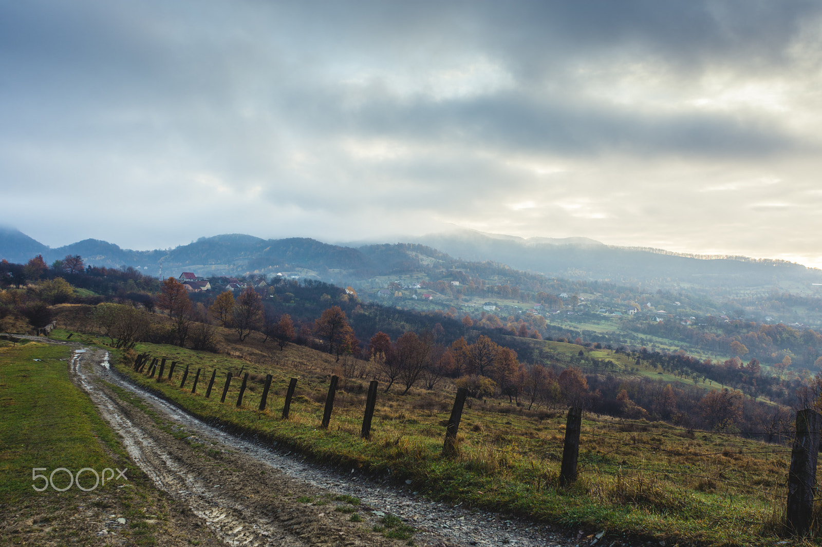 Nikon D7200 sample photo. Searching for the sun photography