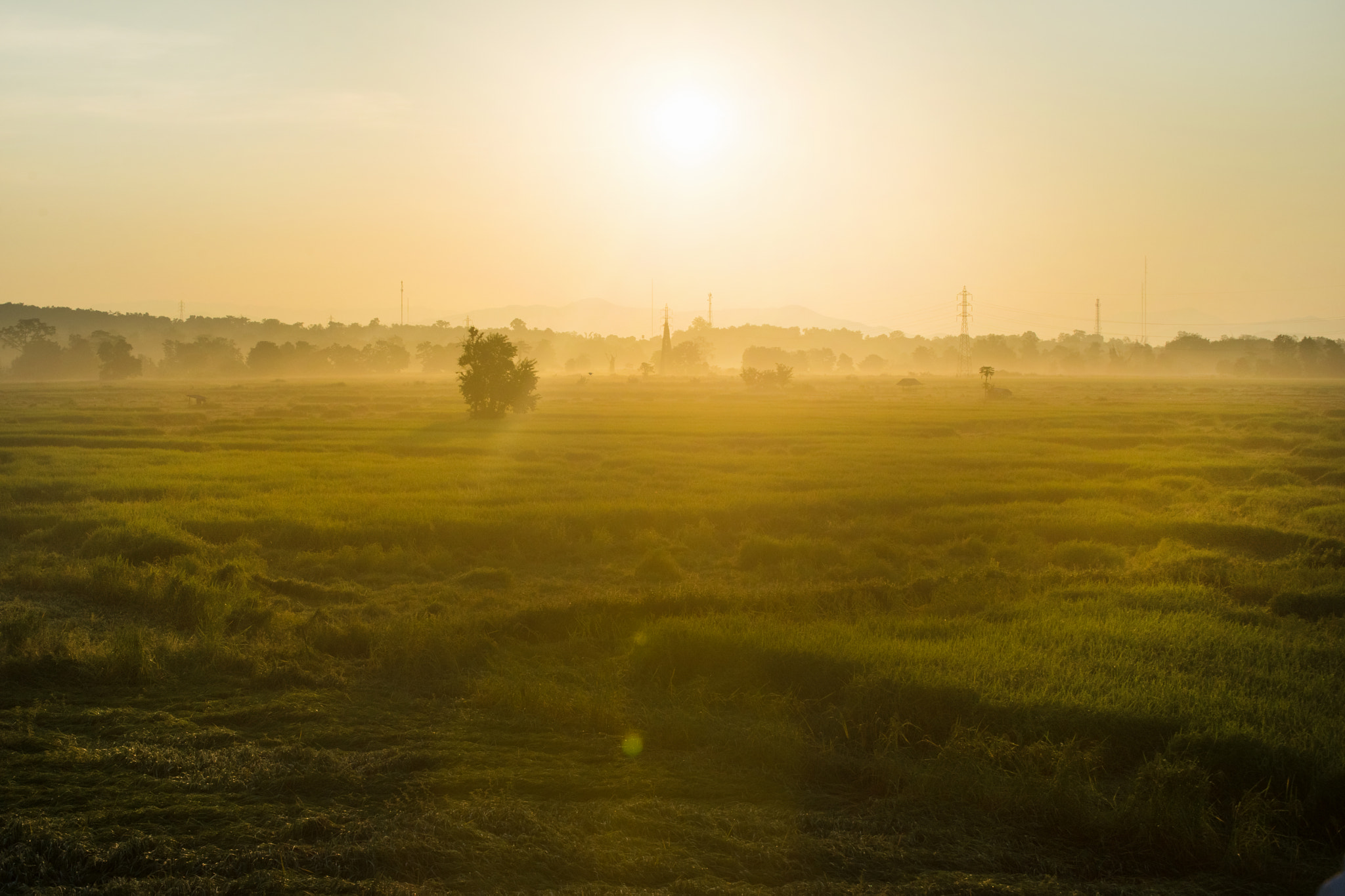 Nikon D600 sample photo. Morning photography