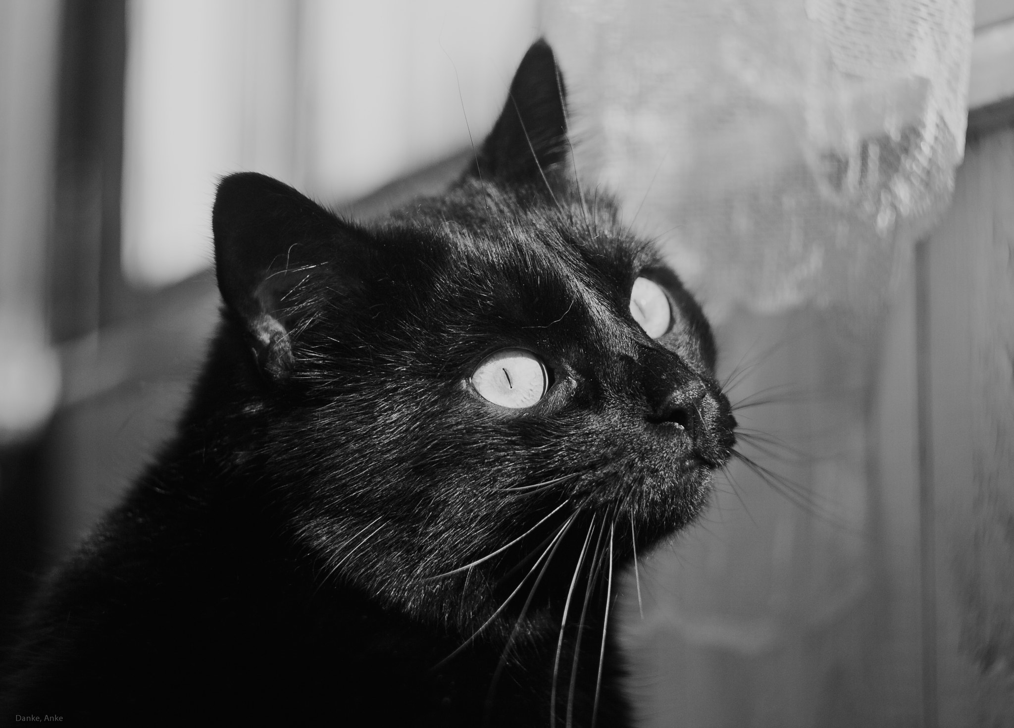 Canon EF 35-80mm f/4-5.6 sample photo. Secret harmonic emotion photography