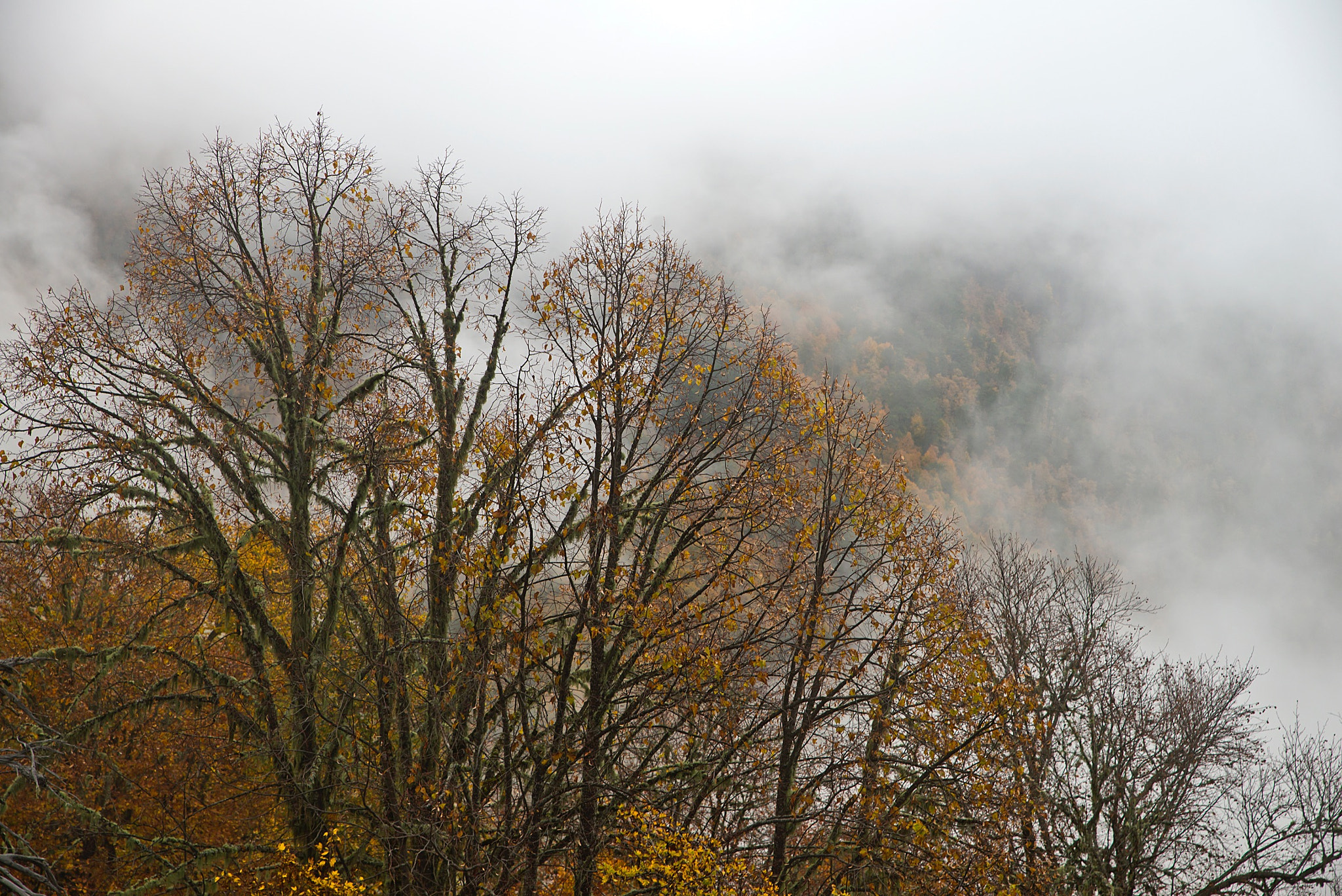 AF Zoom-Nikkor 35-105mm f/3.5-4.5 sample photo