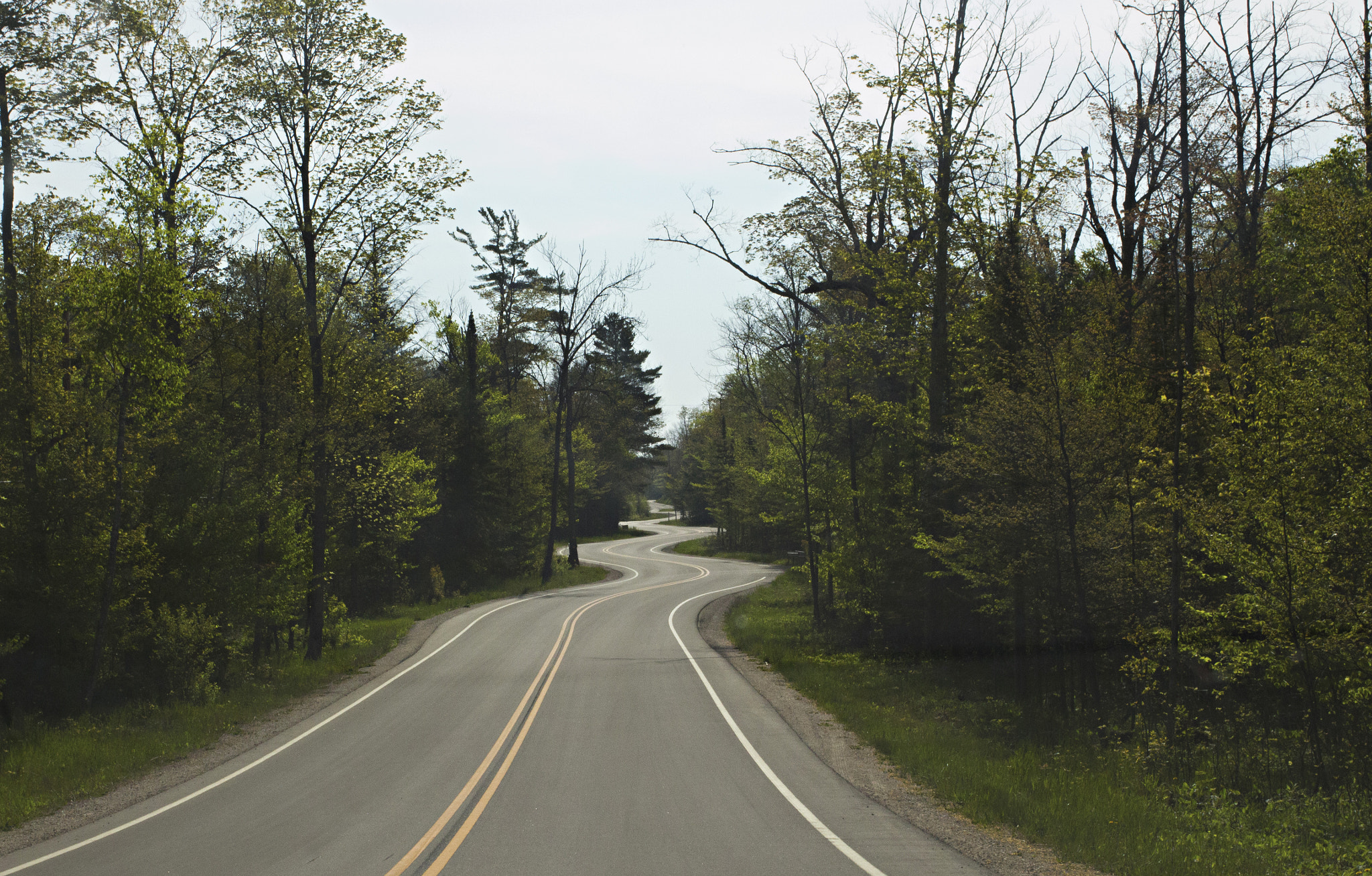 Canon EF 40mm F2.8 STM sample photo. Curve in the road photography