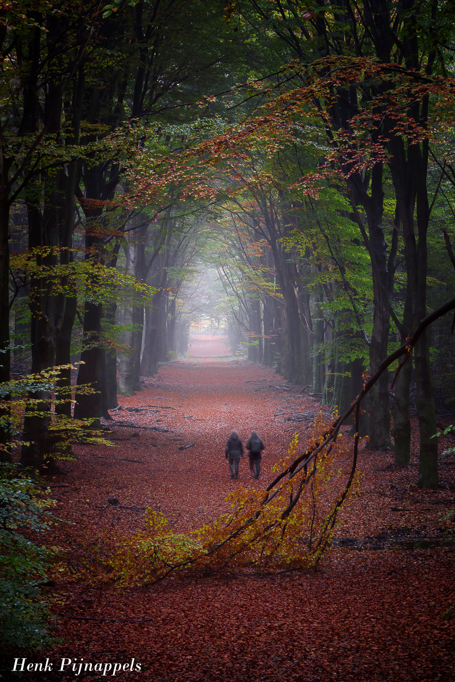 Canon EOS 60D sample photo. What a wonderful seasons this photography