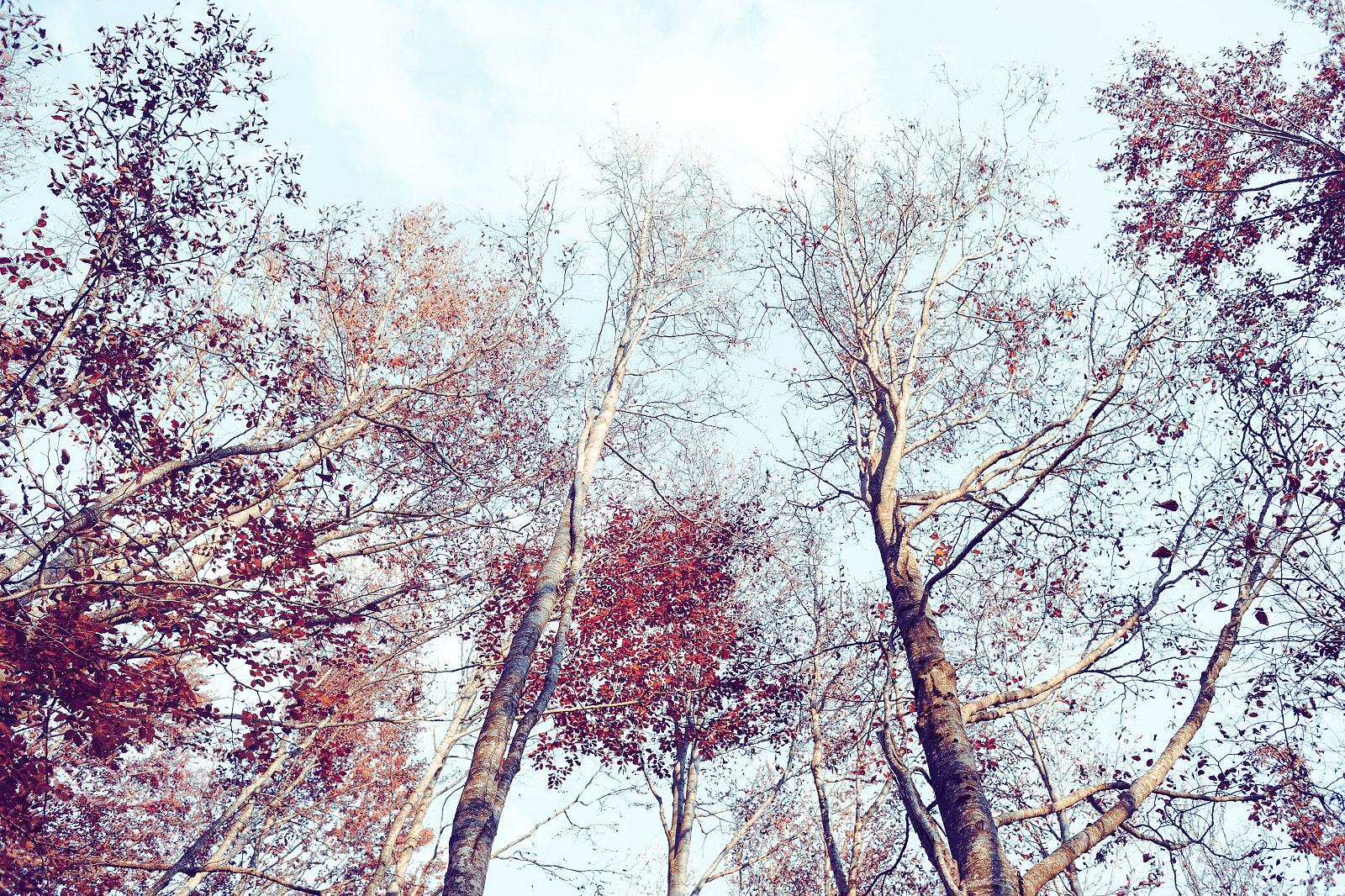 Canon EOS 6D + Canon EF 28mm F2.8 sample photo. Looking clouds photography