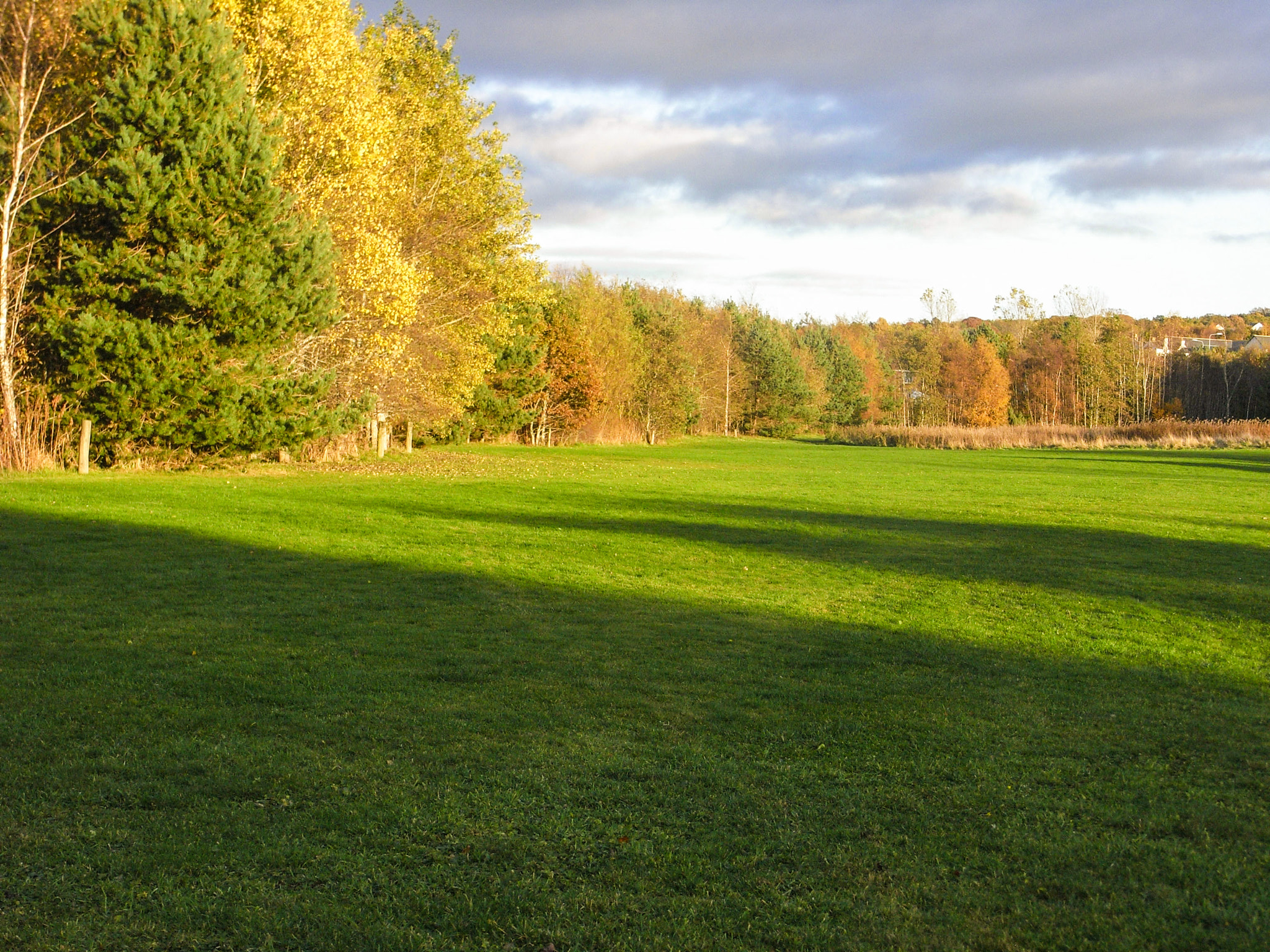 Ricoh Caplio R6 sample photo. Autumn in the park photography