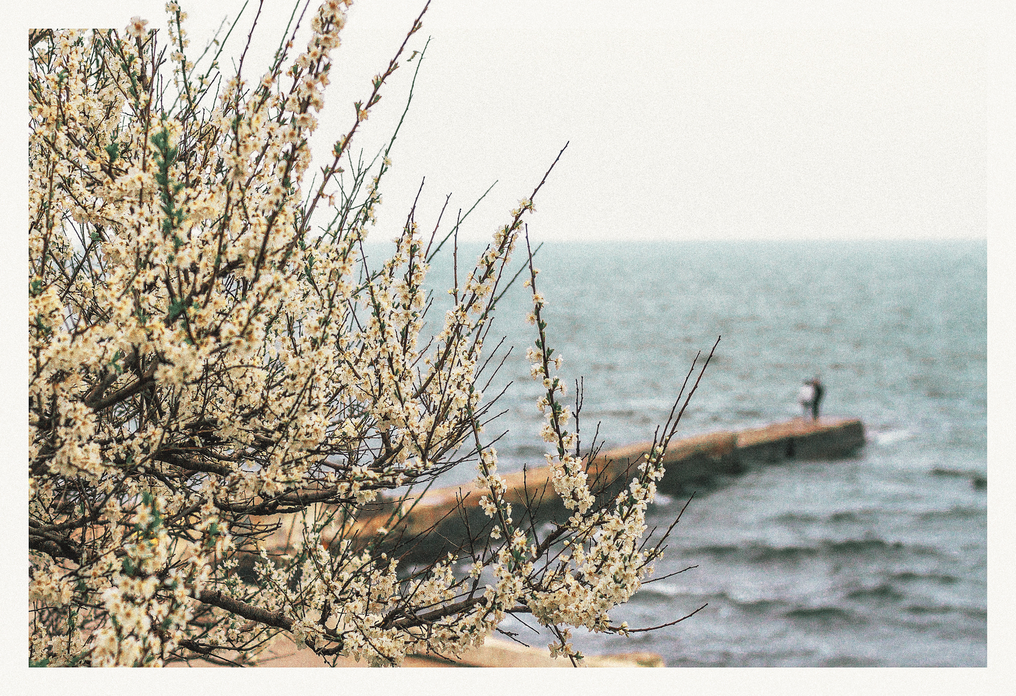 ZEISS Planar T* 50mm F1.4 sample photo. Lovers photography