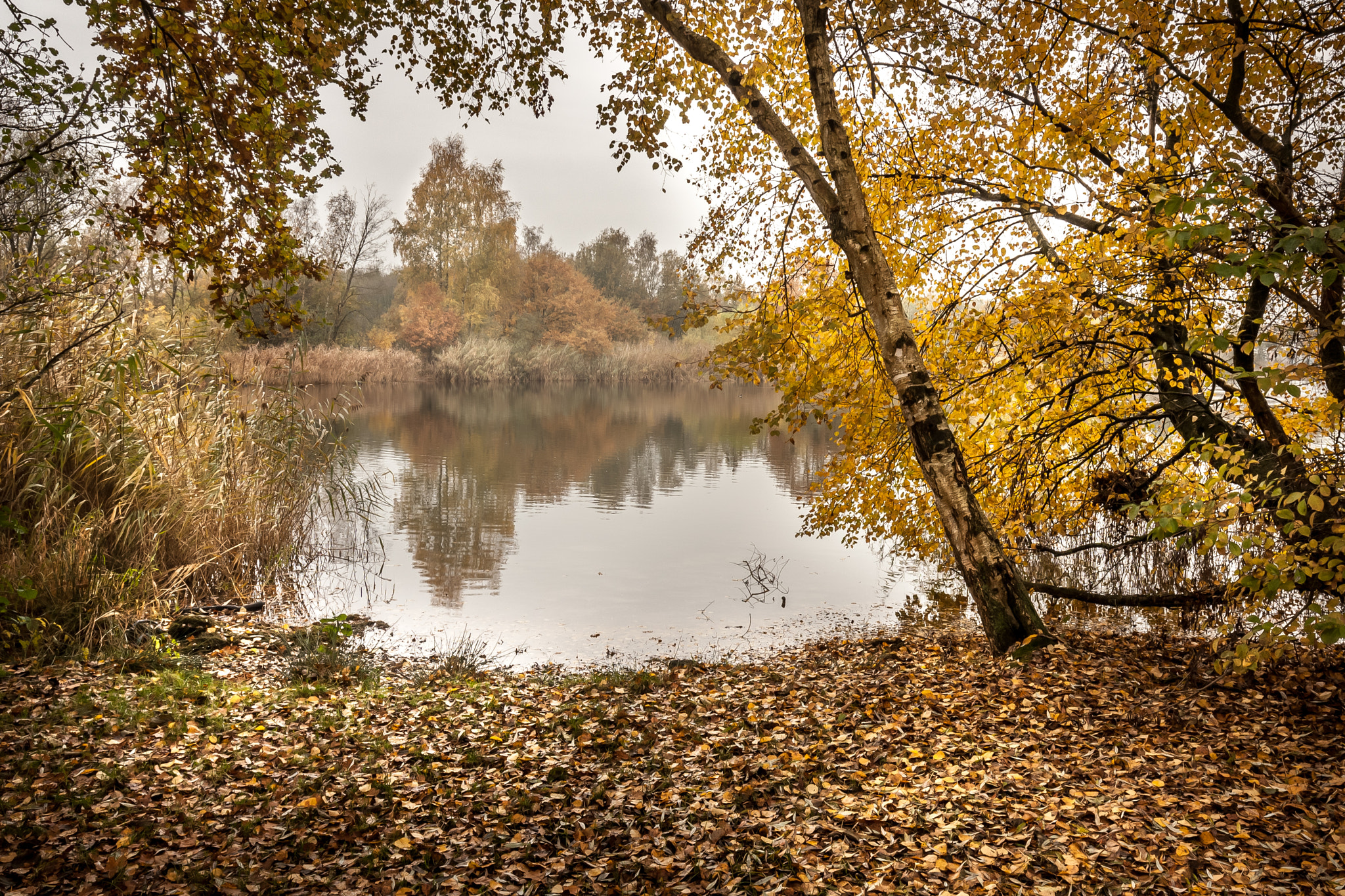 Canon EOS 1000D (EOS Digital Rebel XS / EOS Kiss F) sample photo. "autumn...!" photography