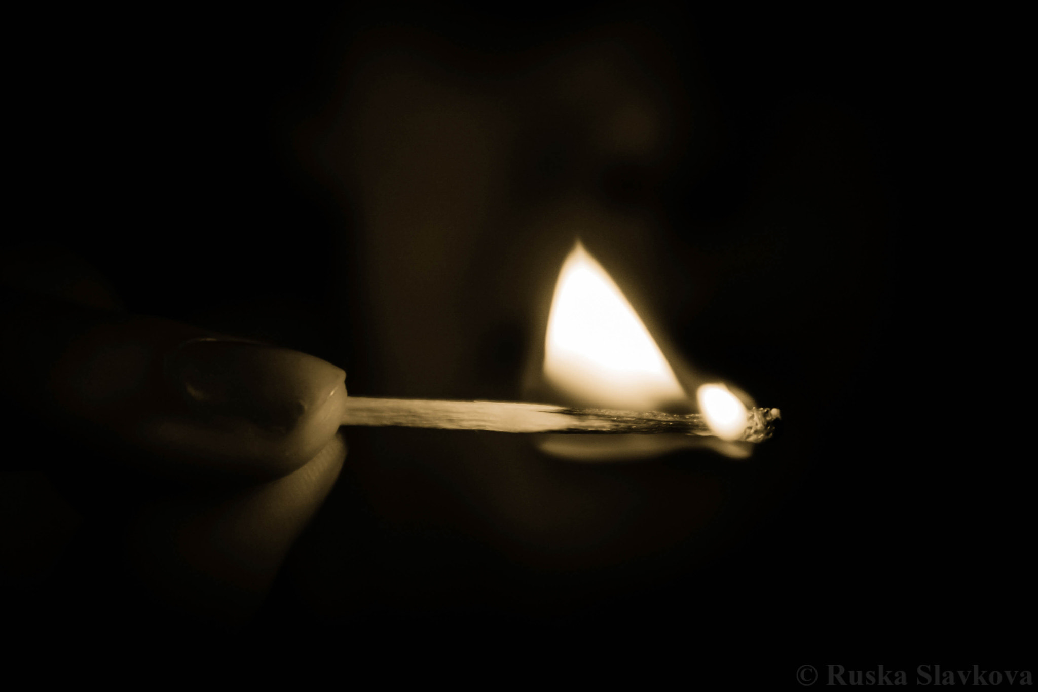 Canon EOS 40D sample photo. 'close to the flame' photography
