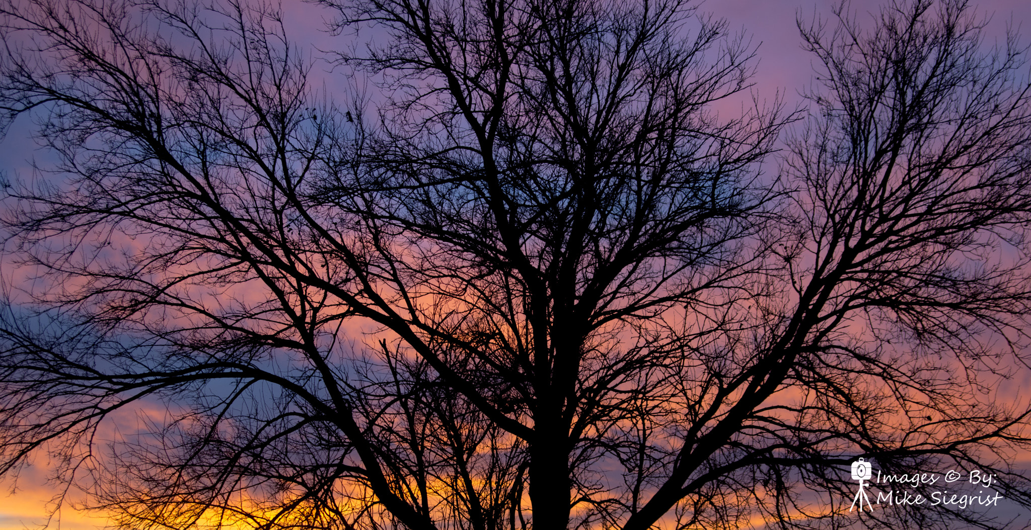 Nikon D3200 + Tamron AF 28-75mm F2.8 XR Di LD Aspherical (IF) sample photo. Kansas sunsets photography