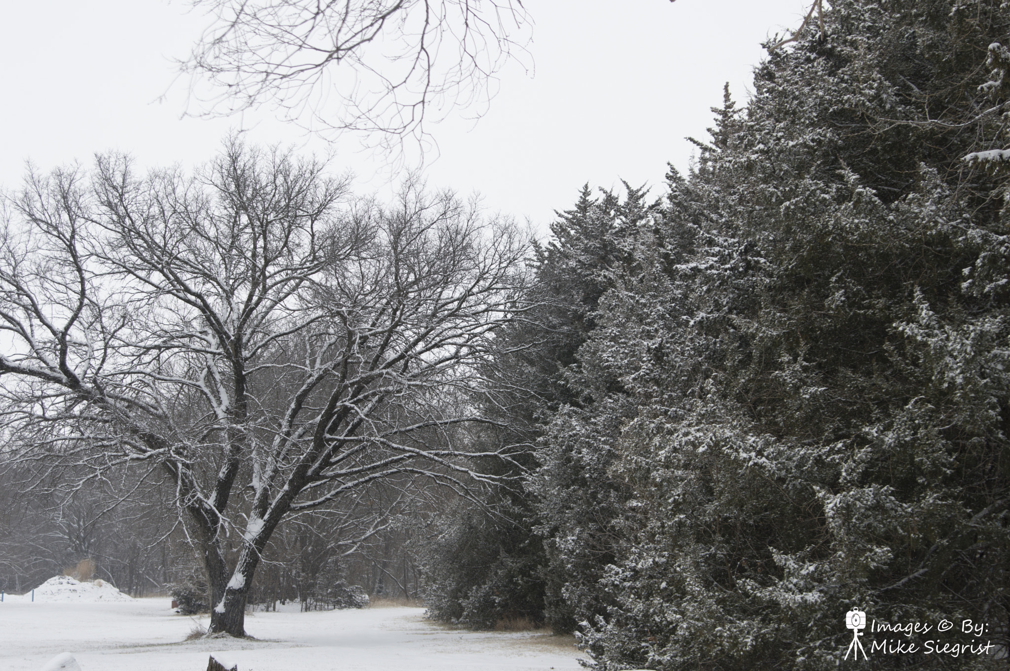 Nikon D3200 sample photo. Easter snow kansas photography