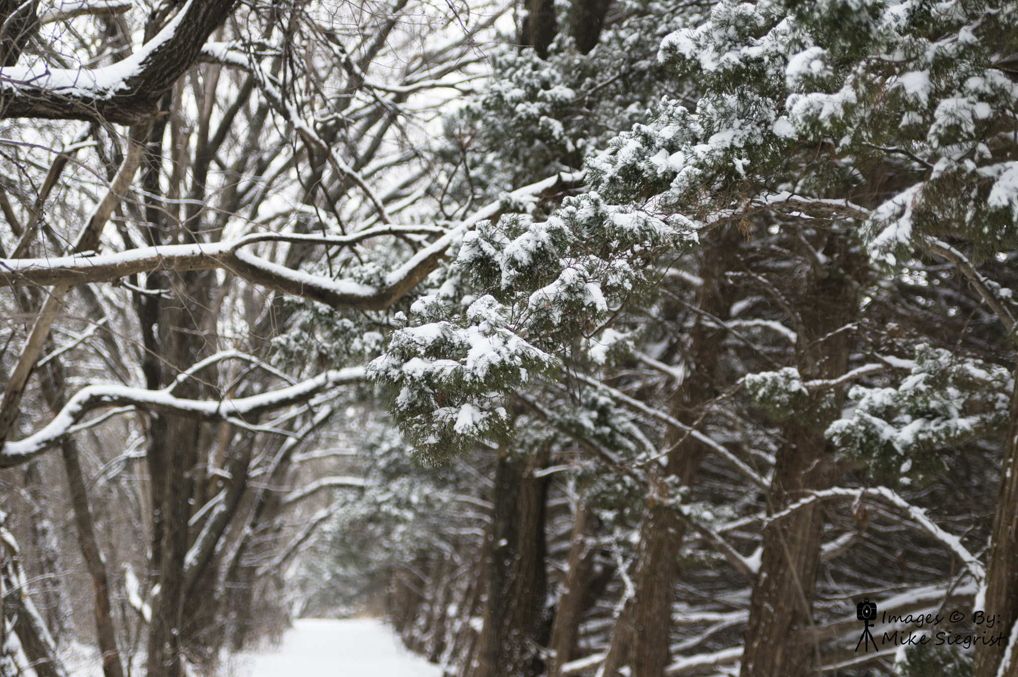 Nikon D3200 sample photo. Kansas winter time photography