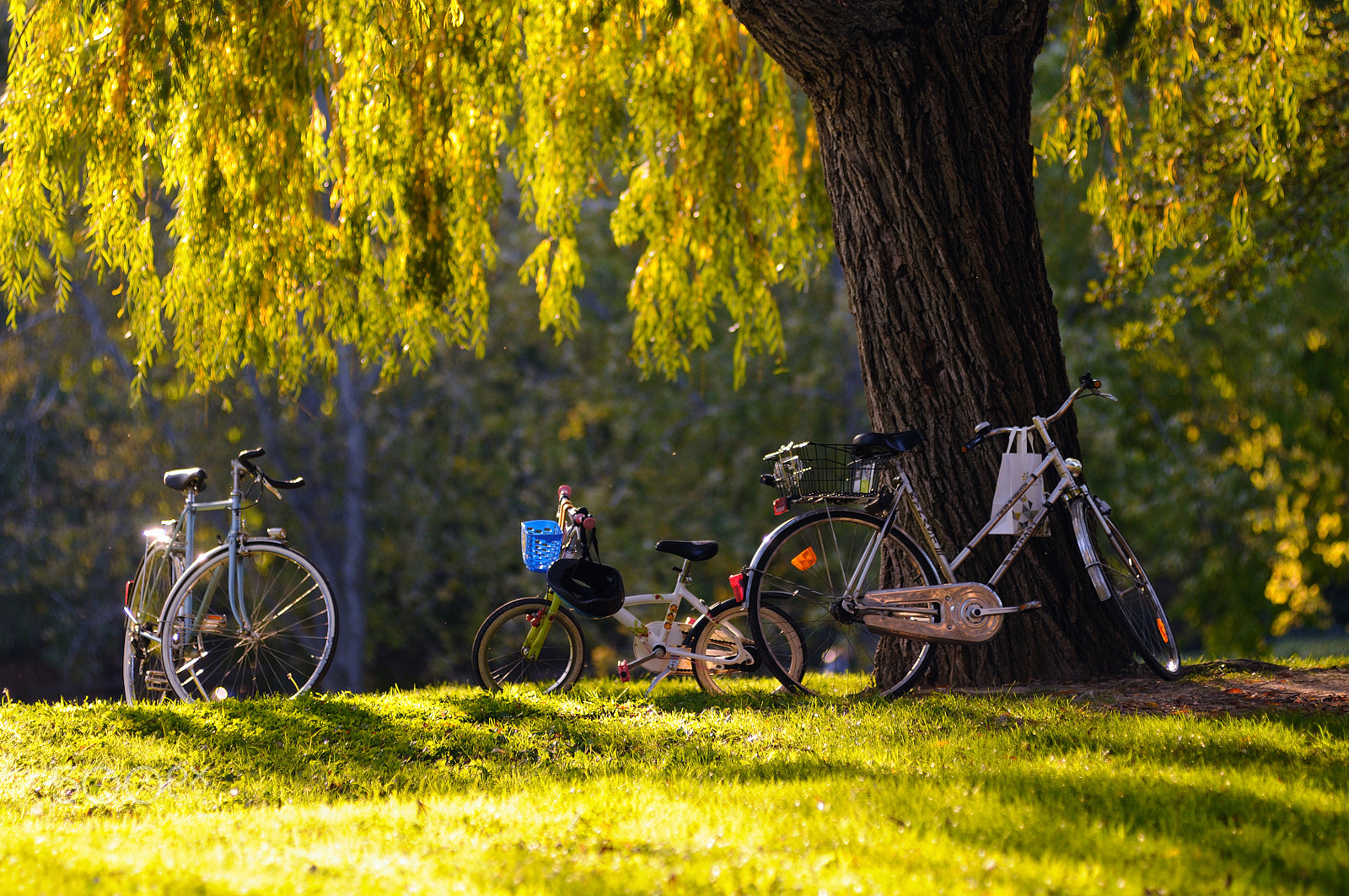 Nikon AF-Nikkor 80-200mm F2.8D ED sample photo. En famille photography