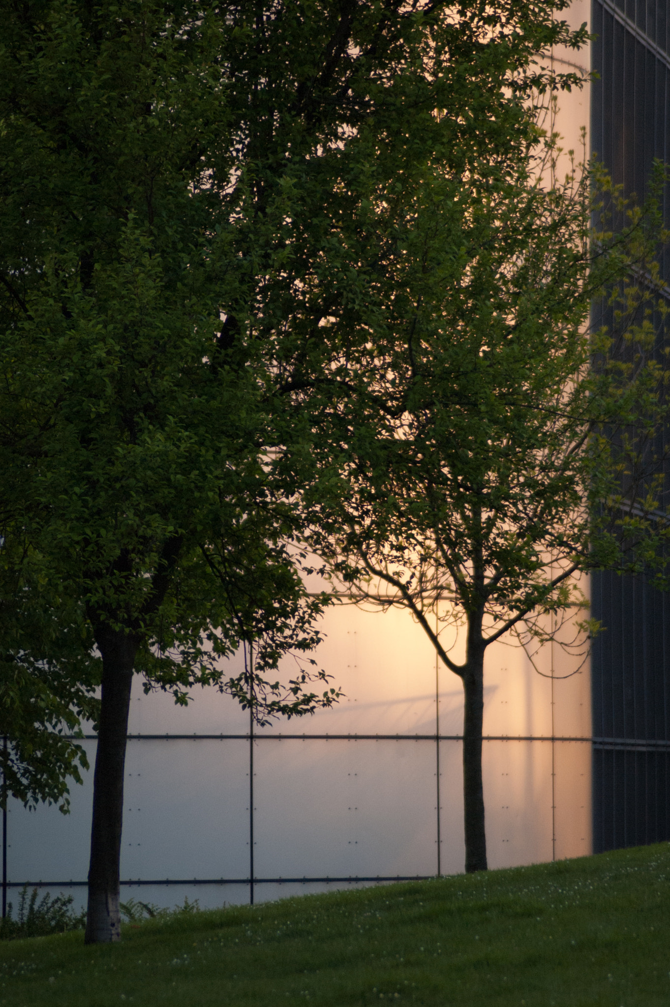 Nikon D70 sample photo. Düsseldorf, germany photography