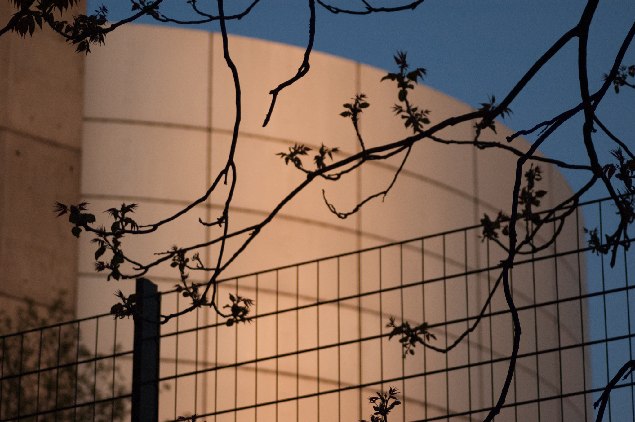 Nikon D70 sample photo. Düsseldorf, germany photography