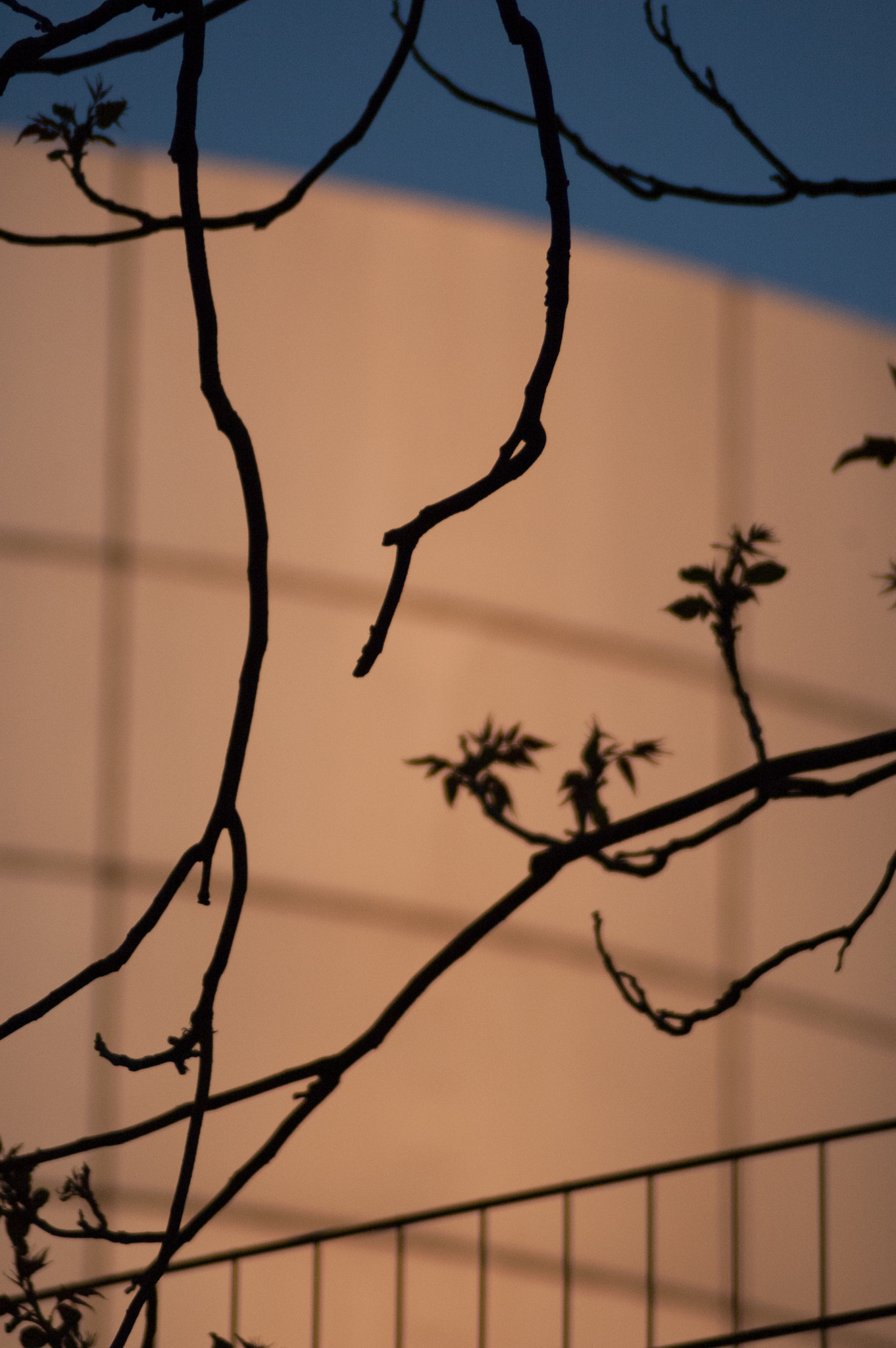 Nikon D70 sample photo. Düsseldorf, germany photography
