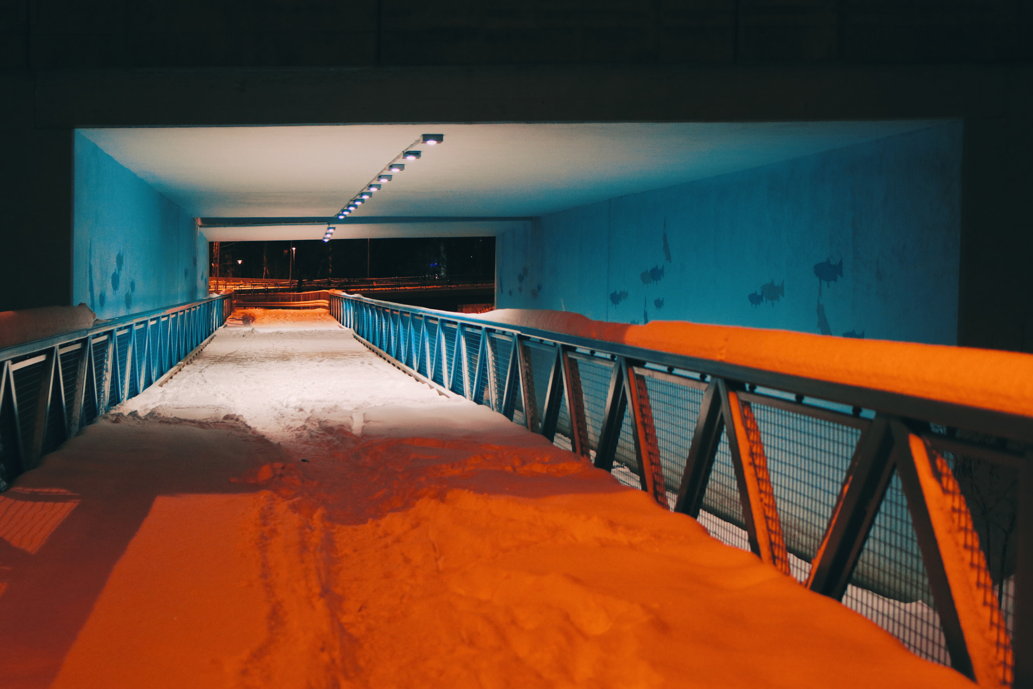 Tamron SP 35mm F1.8 Di VC USD sample photo. The night is a bridge across a desert of light photography
