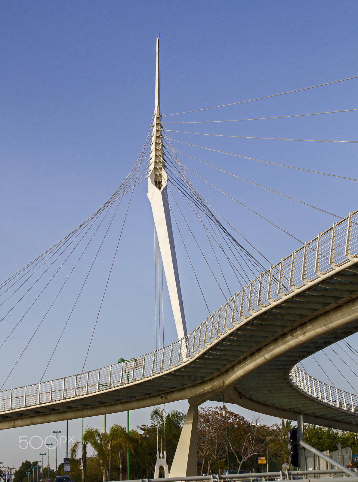 Canon EOS 550D (EOS Rebel T2i / EOS Kiss X4) sample photo. Skywalk bridge by santiago calatrava.israel photography