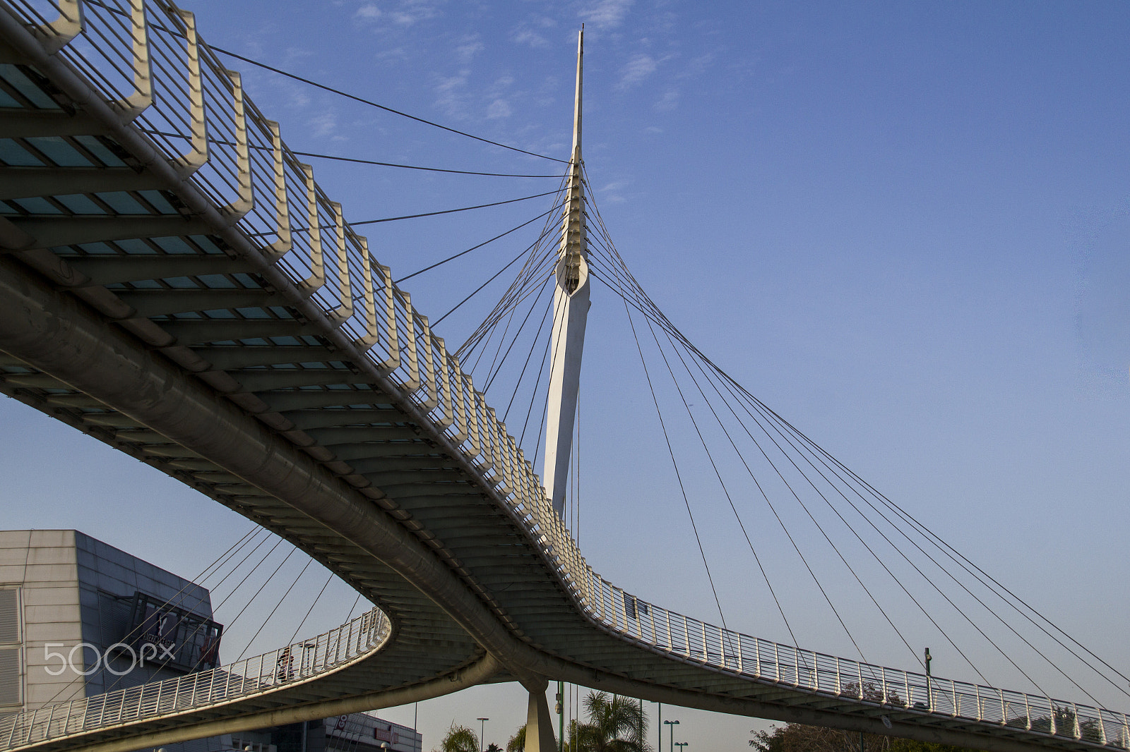 Canon EOS 550D (EOS Rebel T2i / EOS Kiss X4) sample photo. Skywalk bridge by santiago calatrava.israel photography