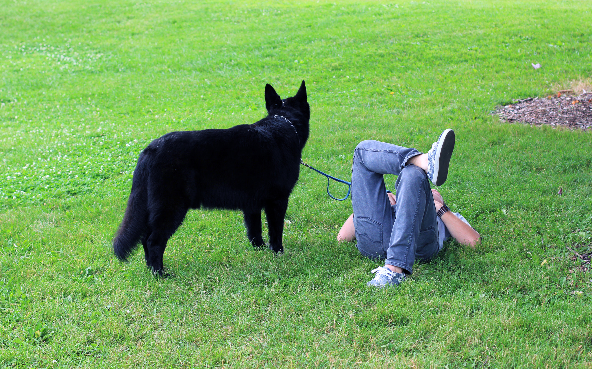 Canon EOS 550D (EOS Rebel T2i / EOS Kiss X4) sample photo. Man's best friend photography