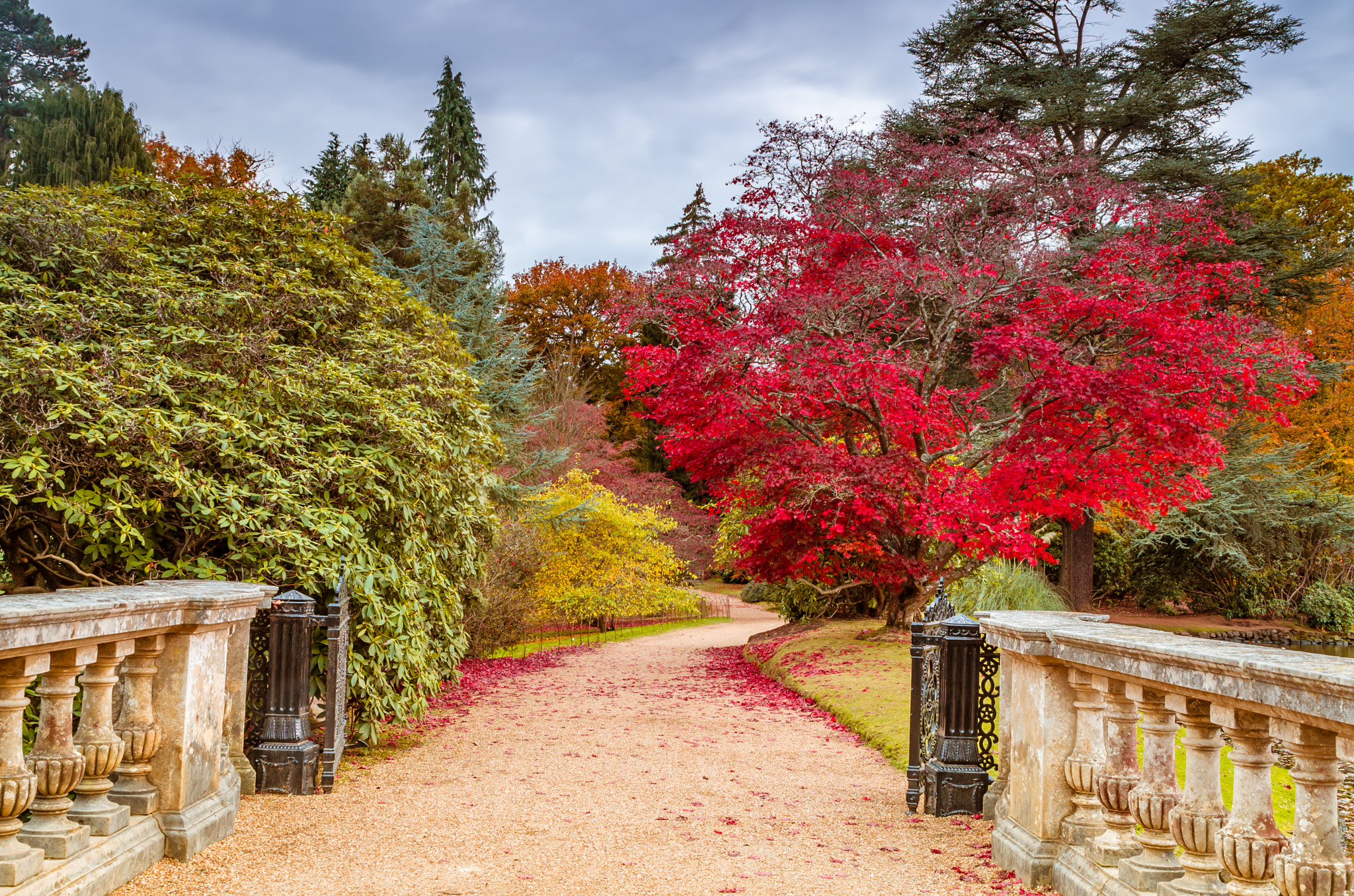 Tamron SP 24-70mm F2.8 Di VC USD sample photo. Autumn is here photography