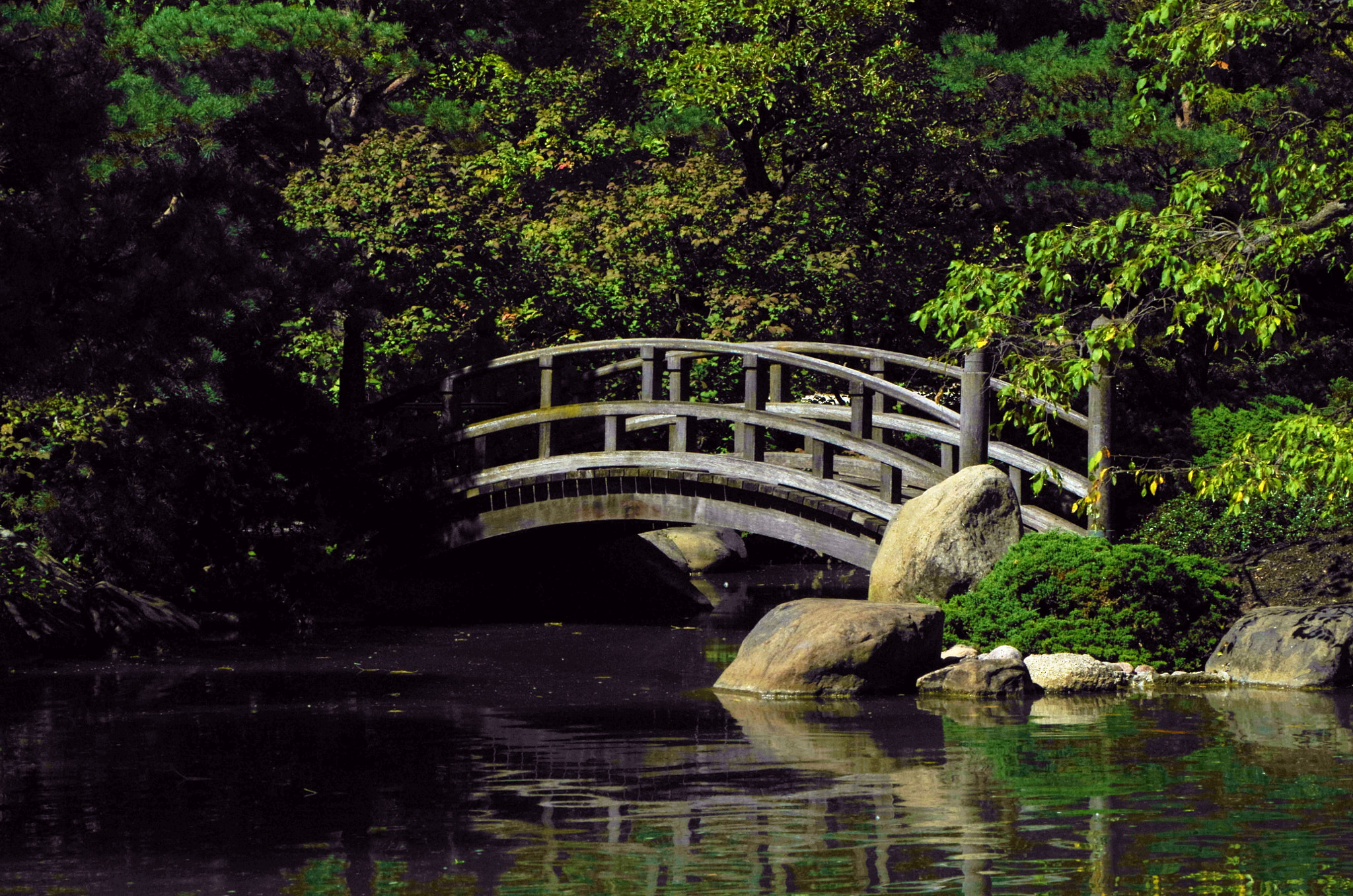 Pentax smc DA 50-200mm F4-5.6 ED sample photo. To a restful retreat... photography