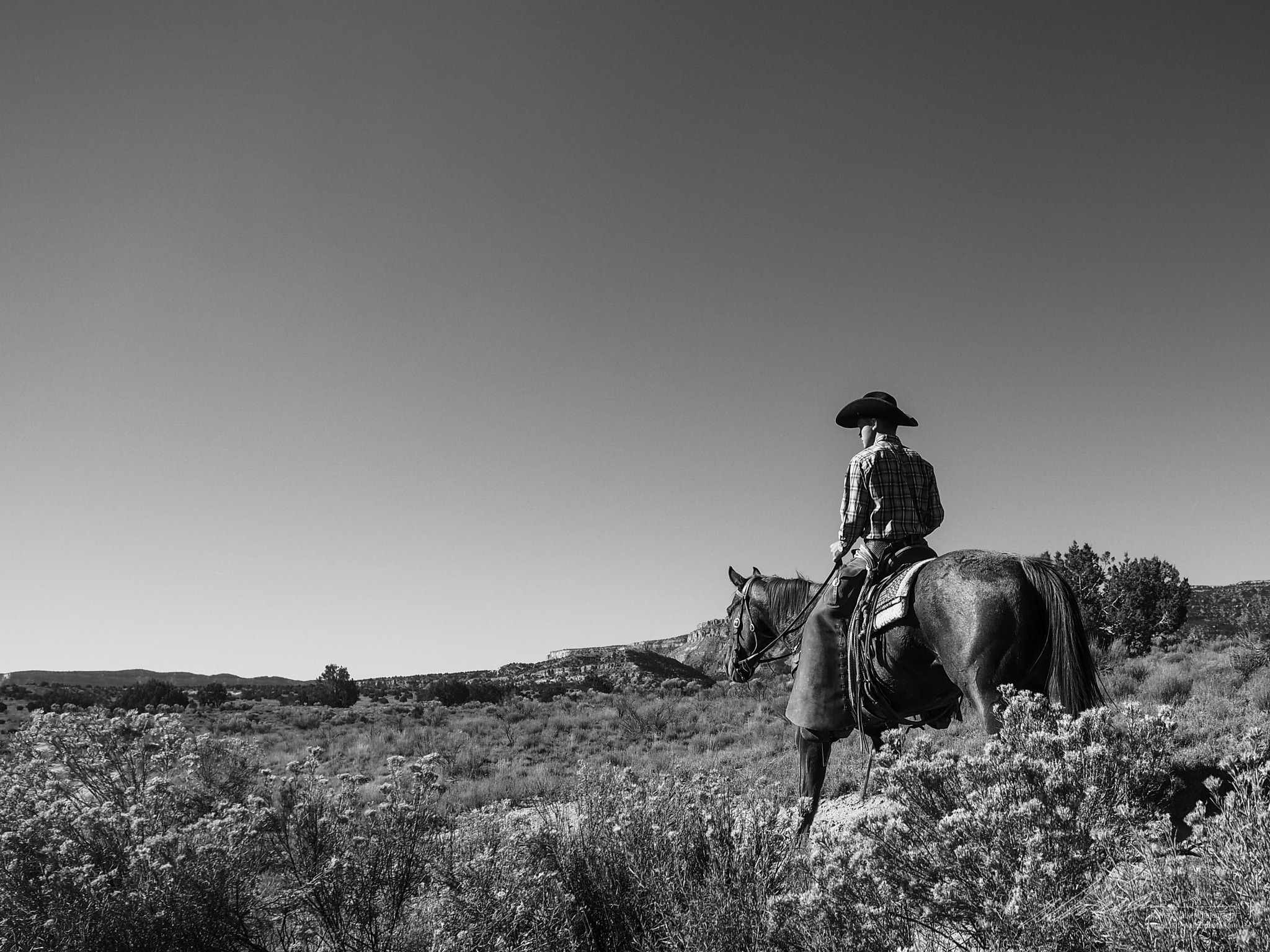 Olympus PEN-F sample photo. The cowboy life photography