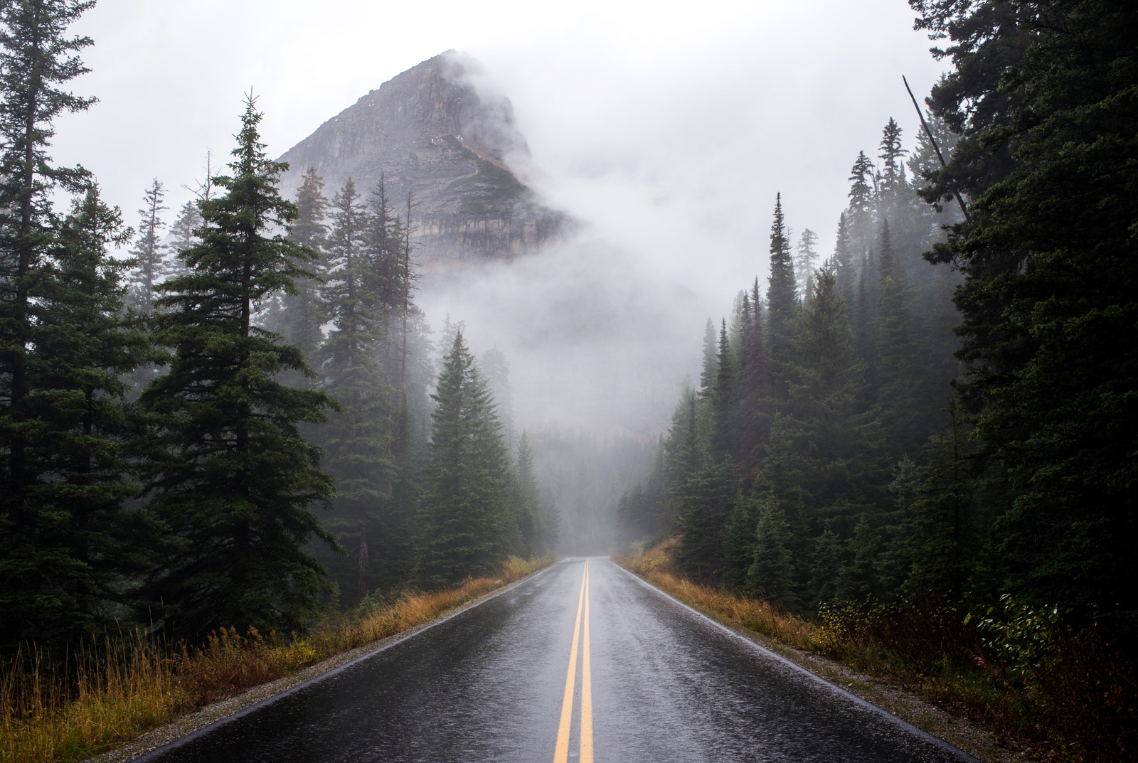Nikon D800 + Nikon AF Nikkor 35mm F2D sample photo. Glacier national park photography