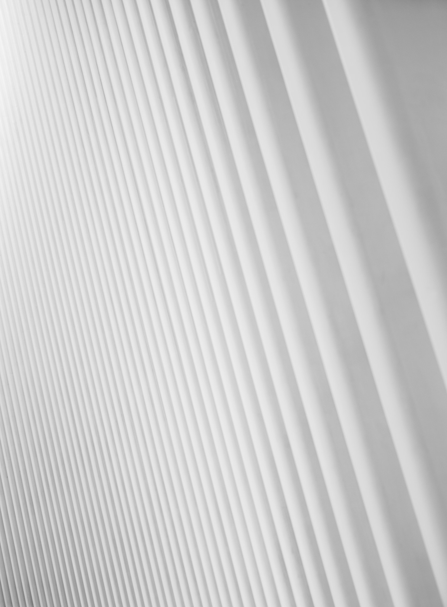 Nikon D610 + Sigma 50mm F1.4 DG HSM Art sample photo. Oculus abstraction photography