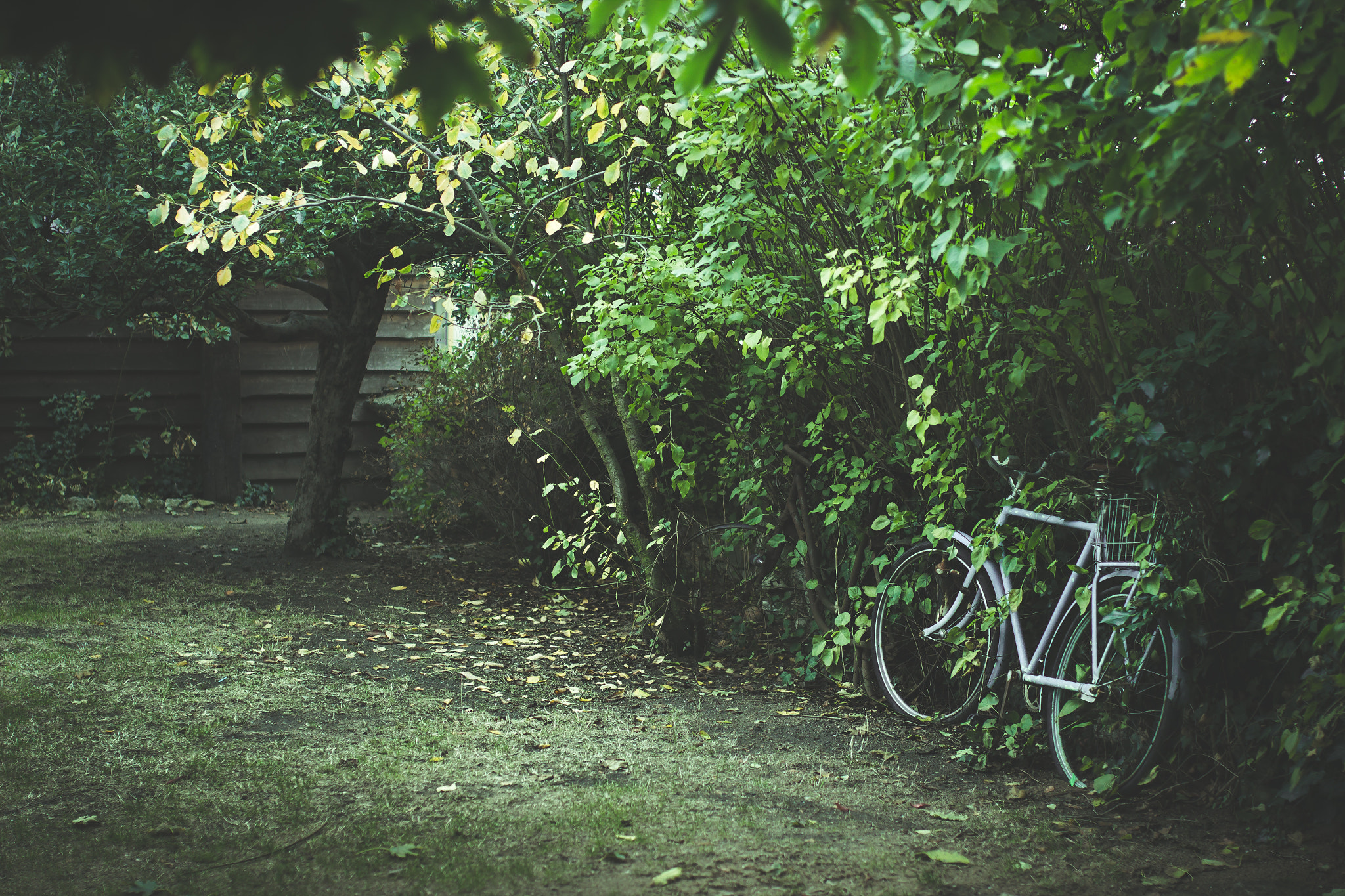 Canon EOS 600D (Rebel EOS T3i / EOS Kiss X5) + Sigma 35mm F1.4 DG HSM Art sample photo. Forgotten photography