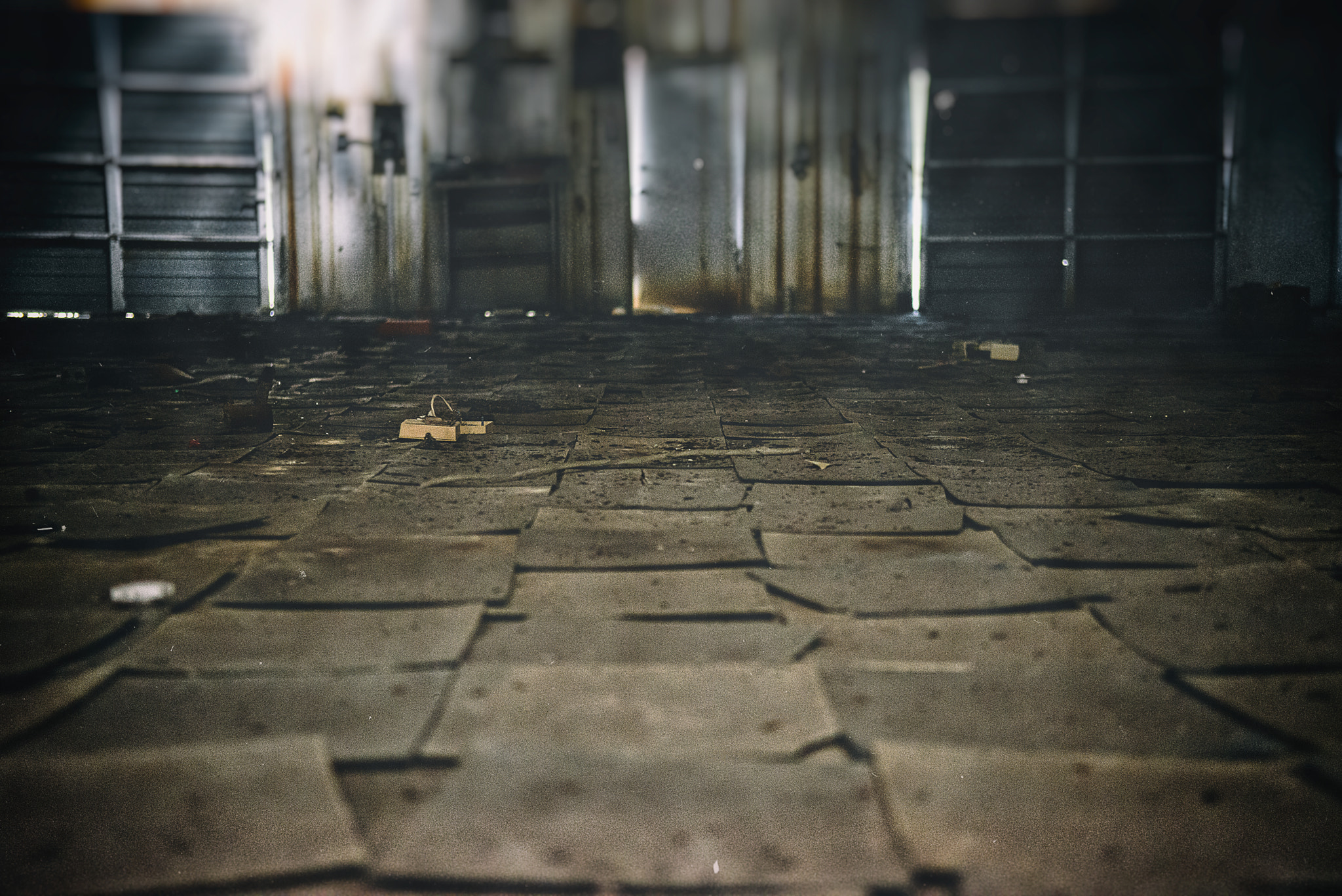 Nikon D800 sample photo. 94 photography