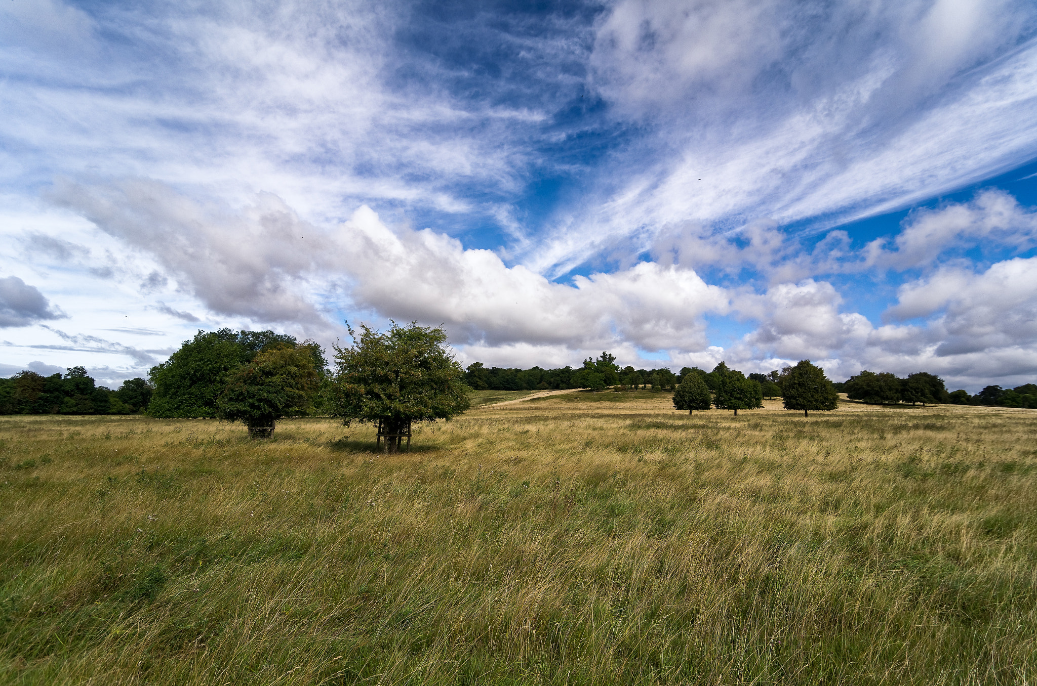 Pentax K-5 sample photo. Field photography