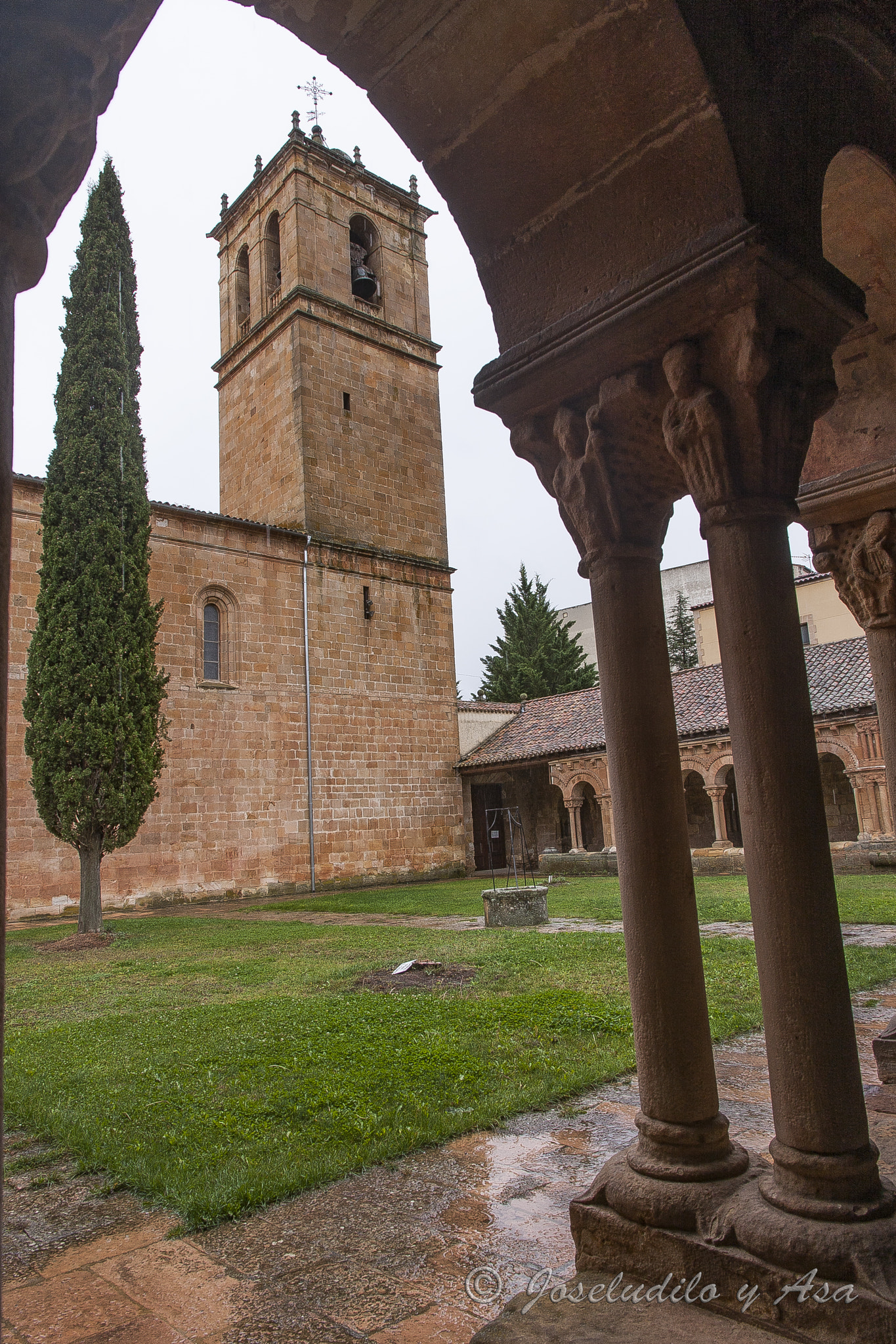 Canon EOS 40D sample photo. El ciprés de san pedro, soria photography