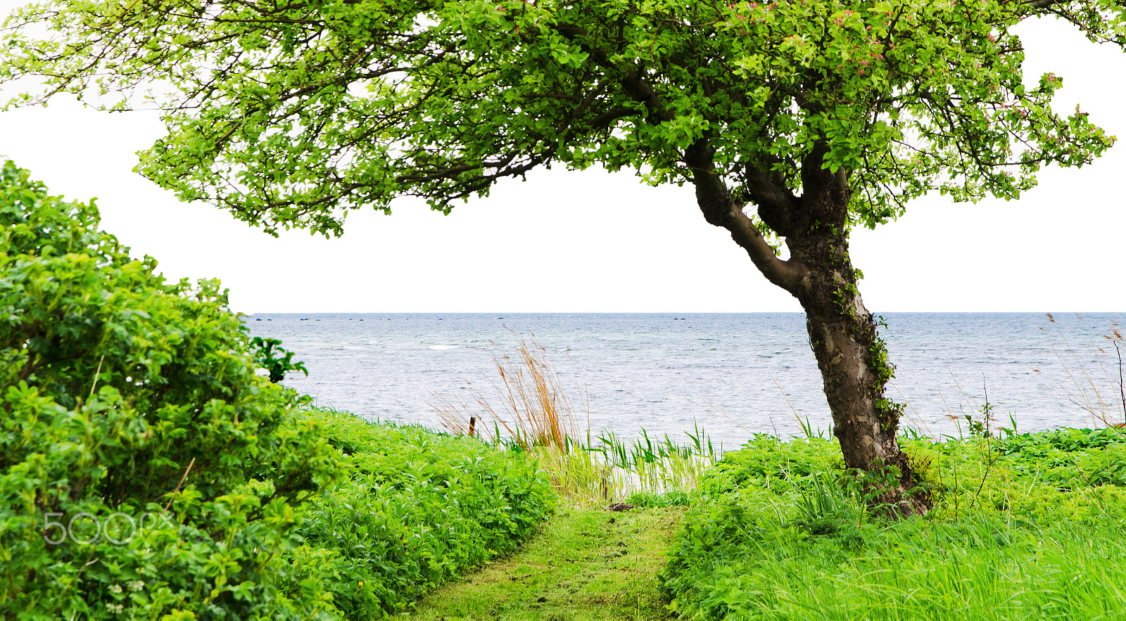 Sigma 17-70mm F2.8-4 DC Macro OS HSM sample photo. Blue horizon photography