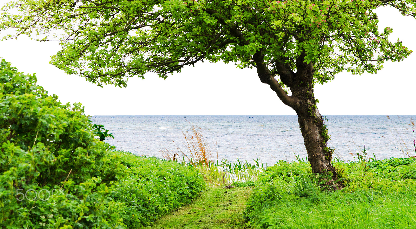 Nikon D5100 + Sigma 17-70mm F2.8-4 DC Macro OS HSM sample photo. Blue horizon photography