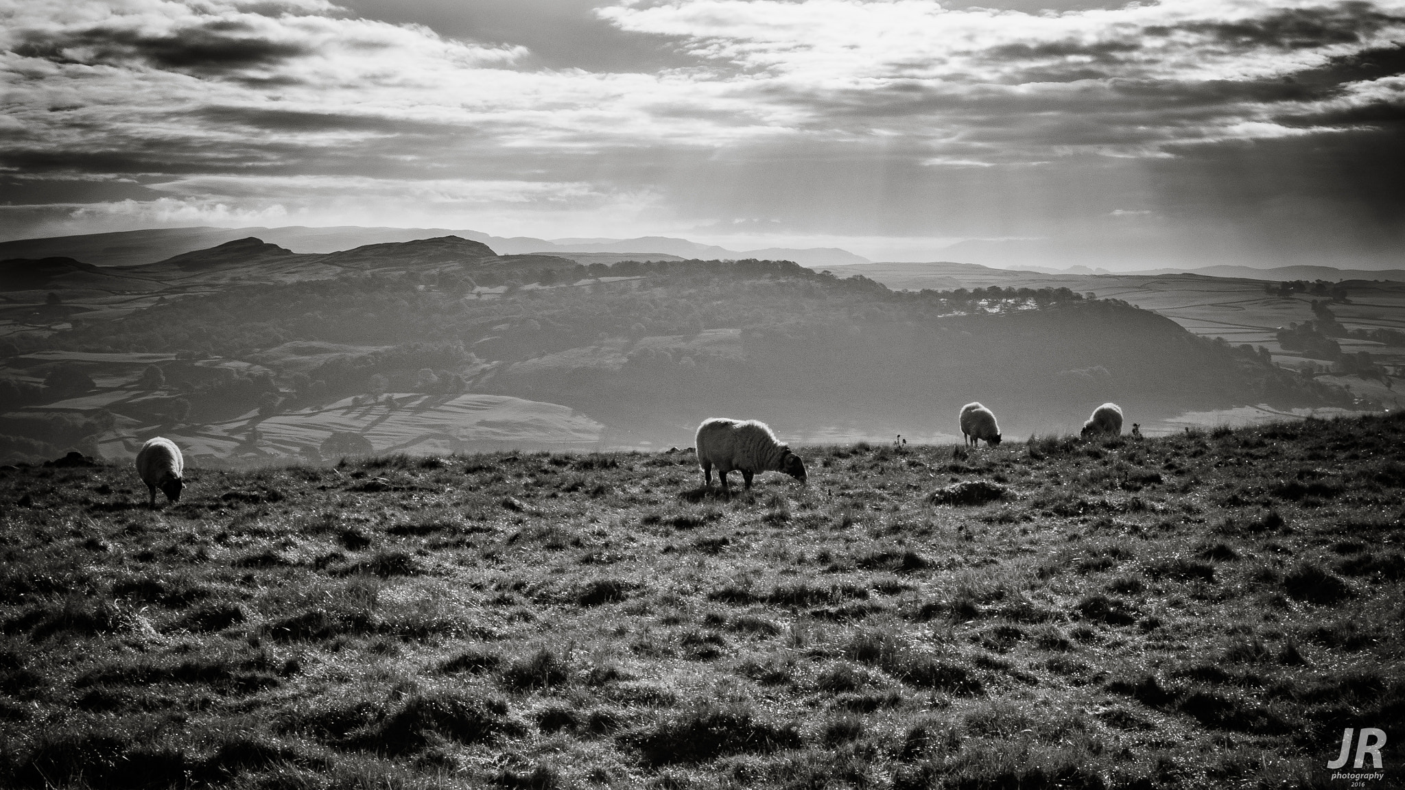 Olympus OM-D E-M1 sample photo. Norber erratics, north yorkshire photography